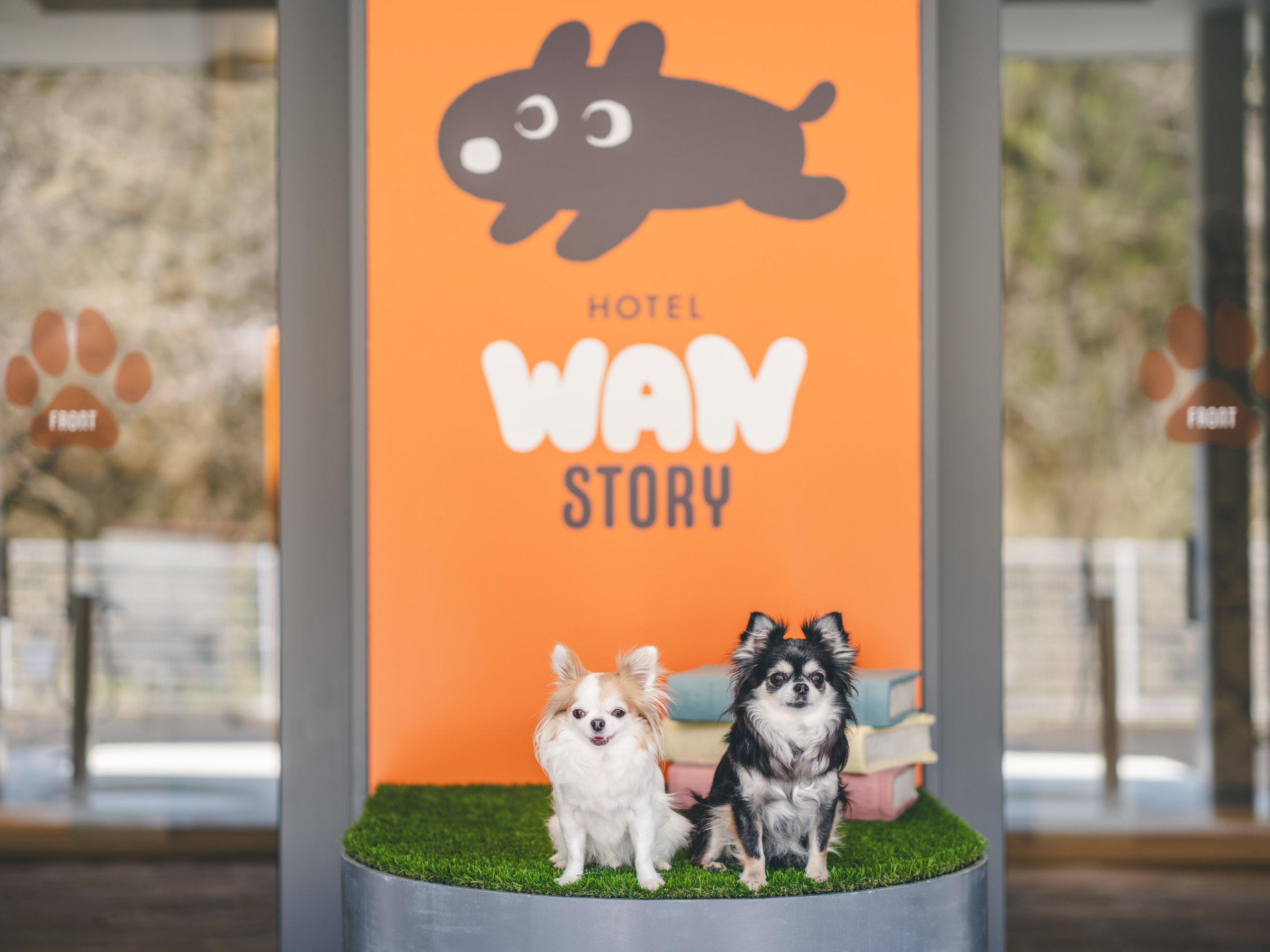 tHgXy[XF܂ĎvoɋLOBe