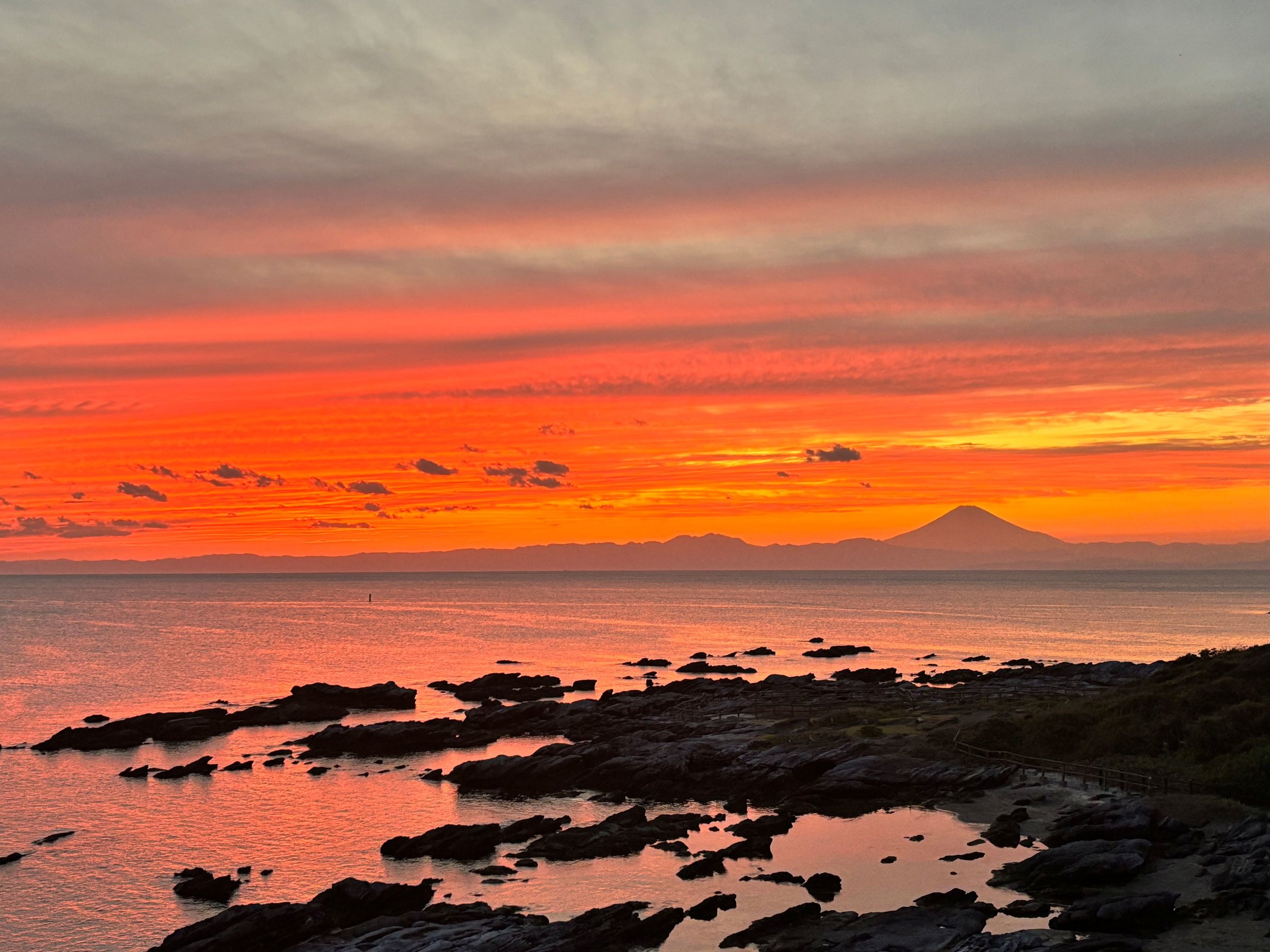 }[ize̗[iB͘pɉf[ĂA1ł΂SaގԂłB