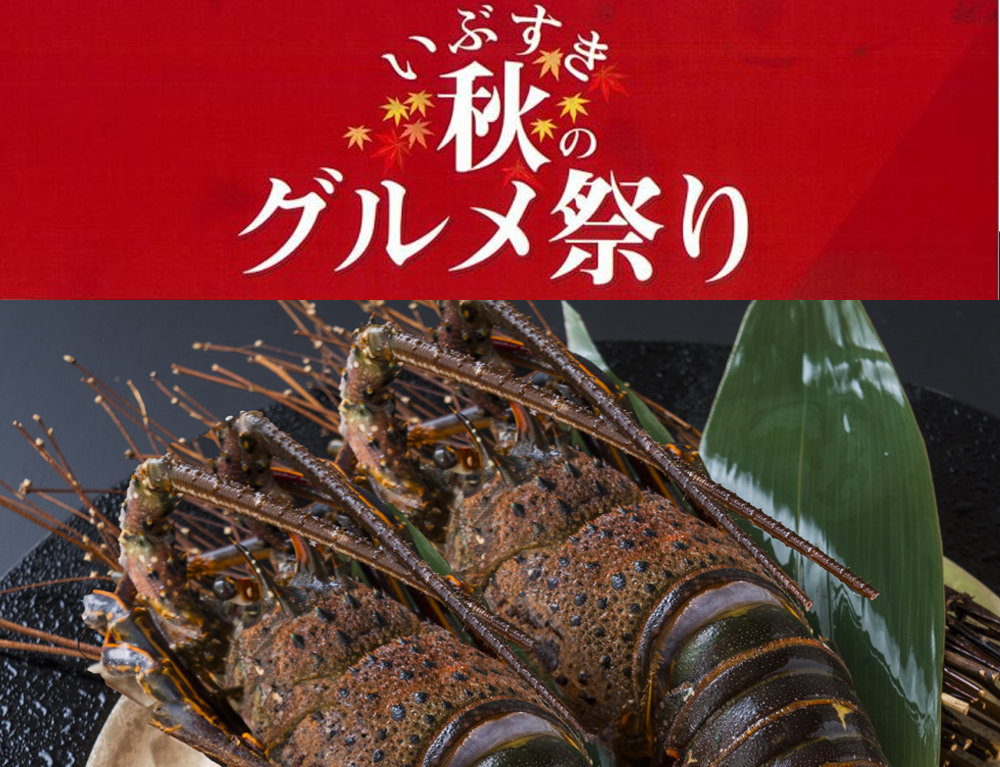 HO