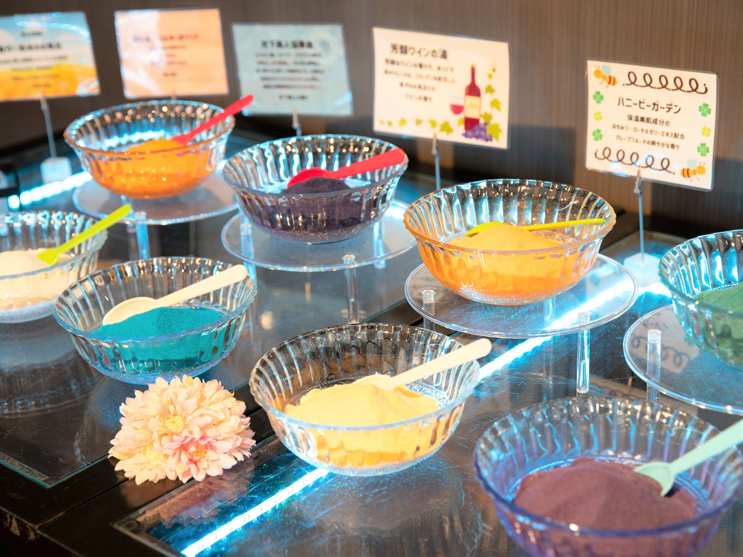 ���������W��ނ̓����܃o�C�L���O�`���r�[