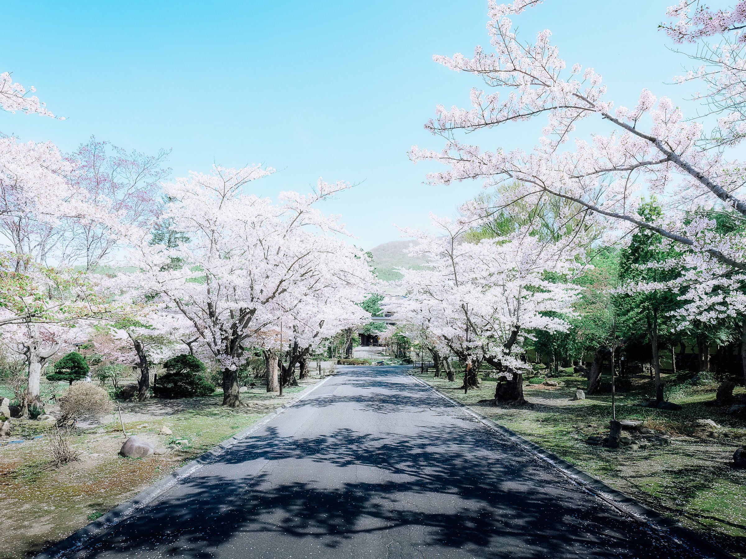 ���i�@�t�F