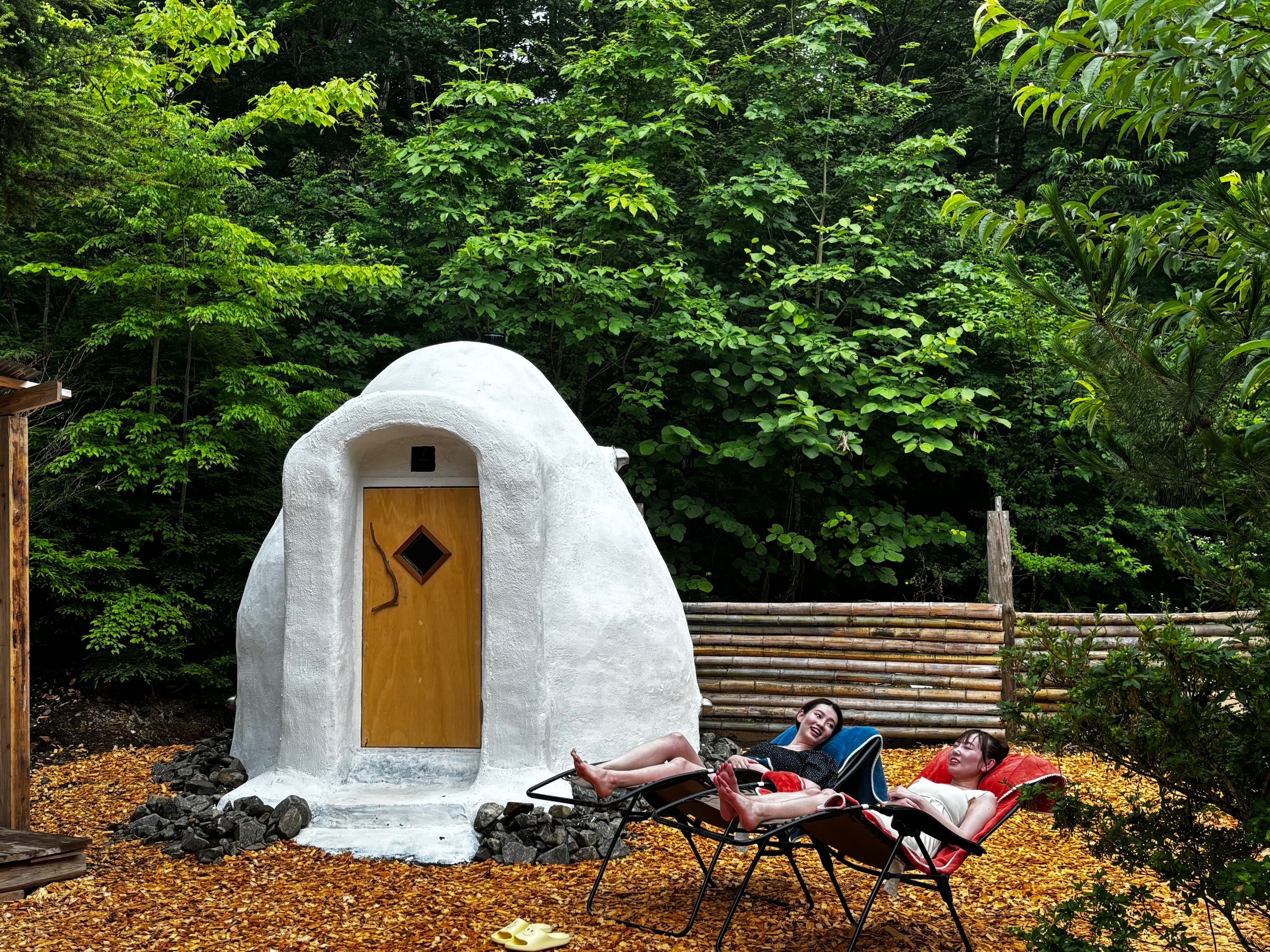 �A�[�X�o�b�O�T�E�i