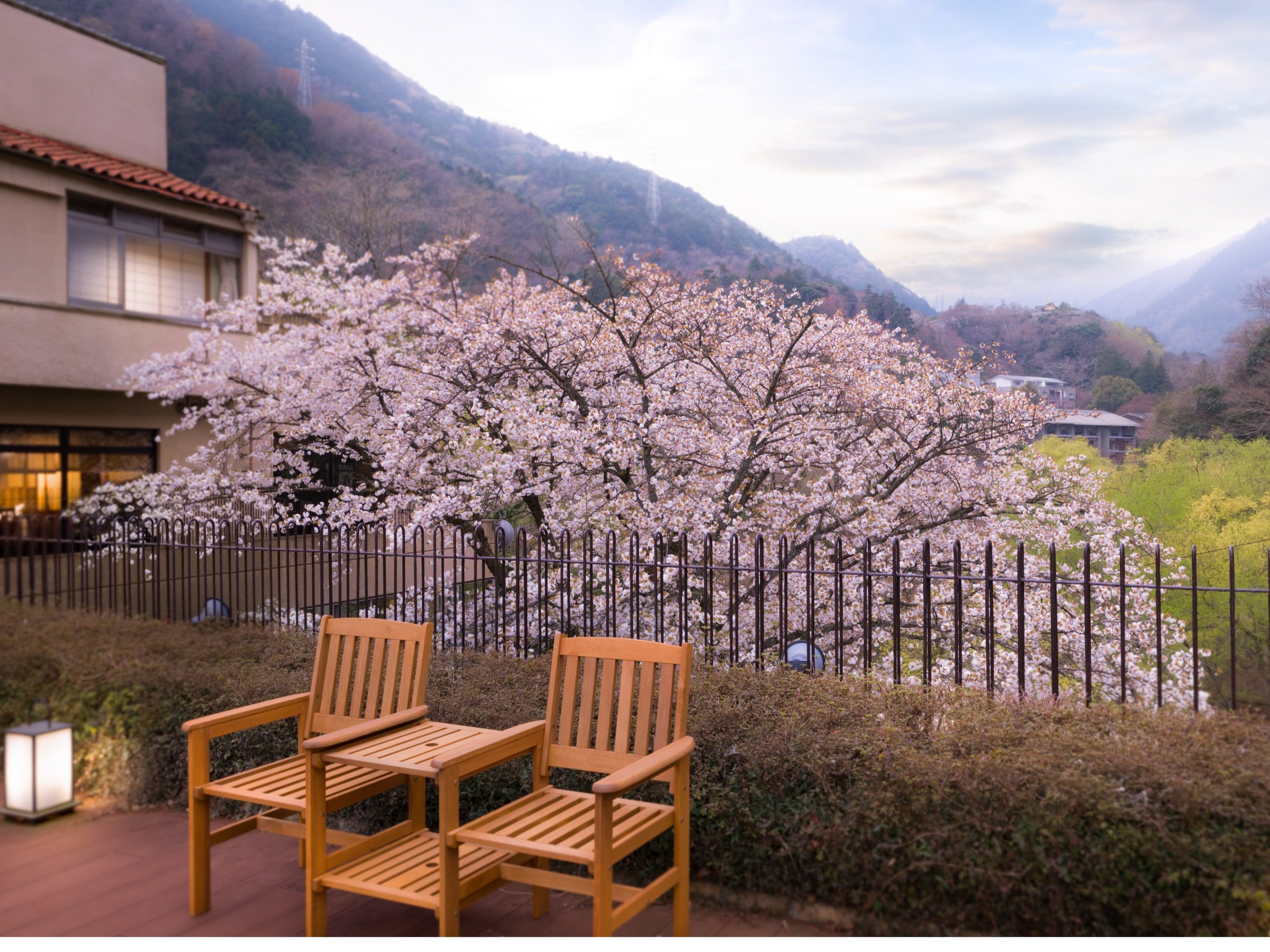 �W�]�e���X���哇��