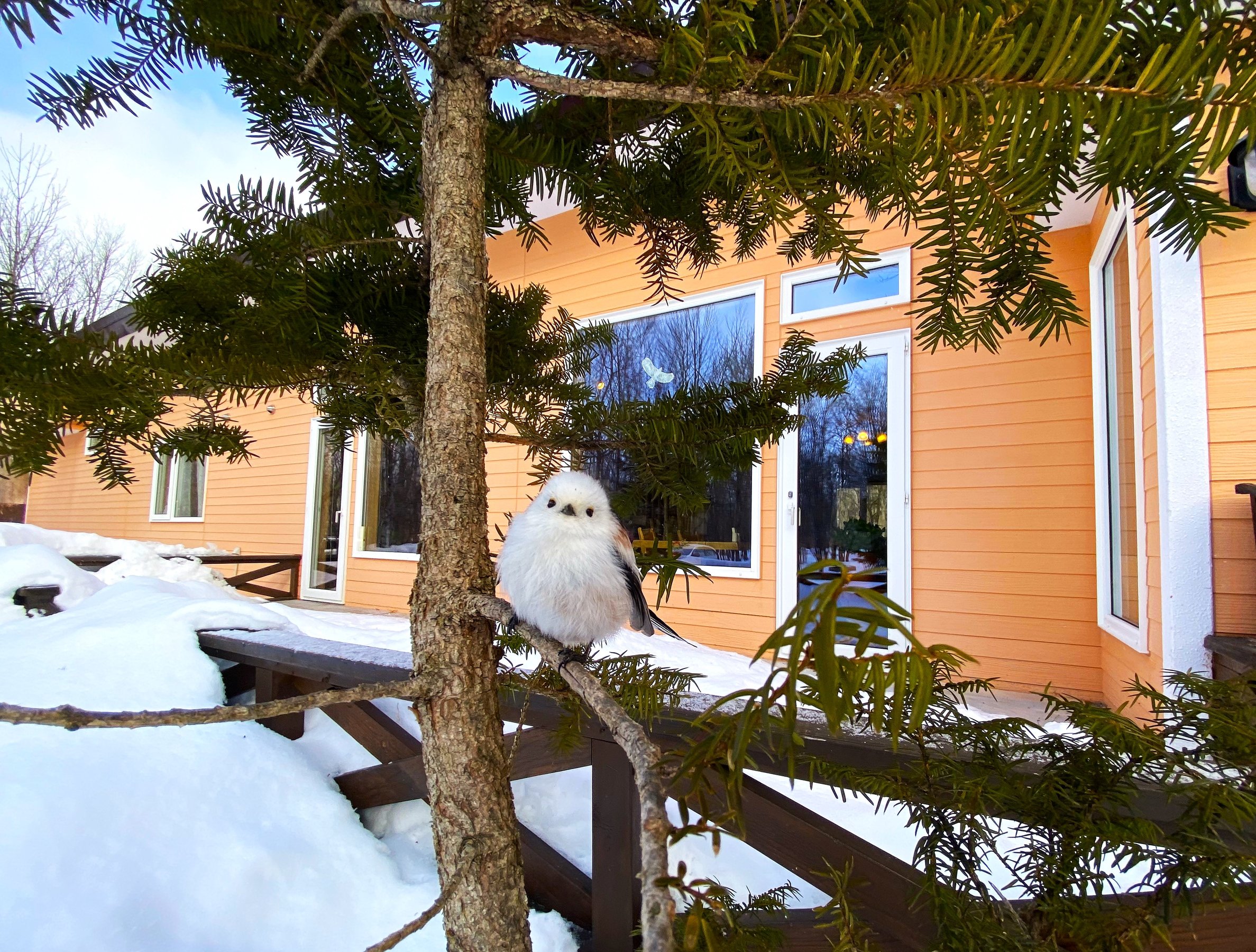 �V�}�G�i�K������Ă��܂���