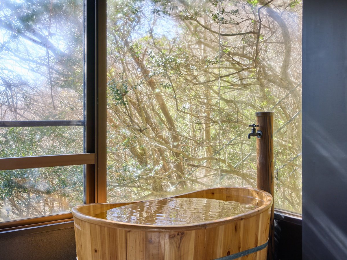 �E�y�T�E�i�z�T�E�i��̓`���[�ŃN�[���_�E���B����10~18�x�ł�