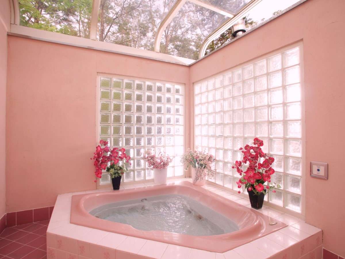 �{�ّO�@�n�[�g�^�W���O�W�[�i�s���N�j