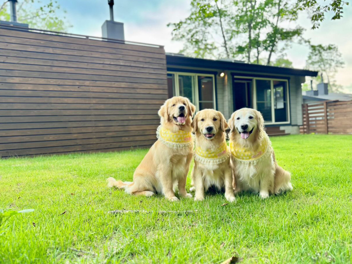 3���܂Łi�傫���Ɋւ�炸�j�@�ꎺ3,000�~���ʐ^�̓C���[�W�ł�