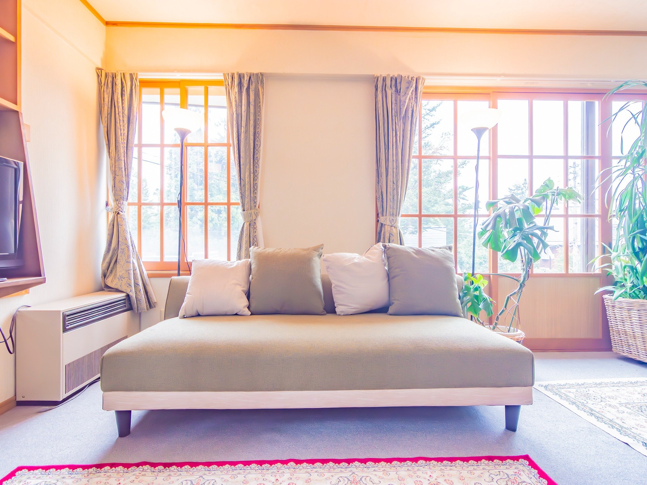 ���r���O