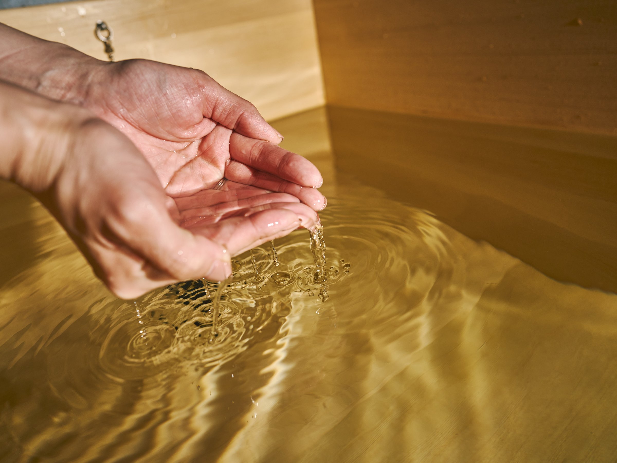 �w�̍���Y���A���ʂȃo�X�^�C��