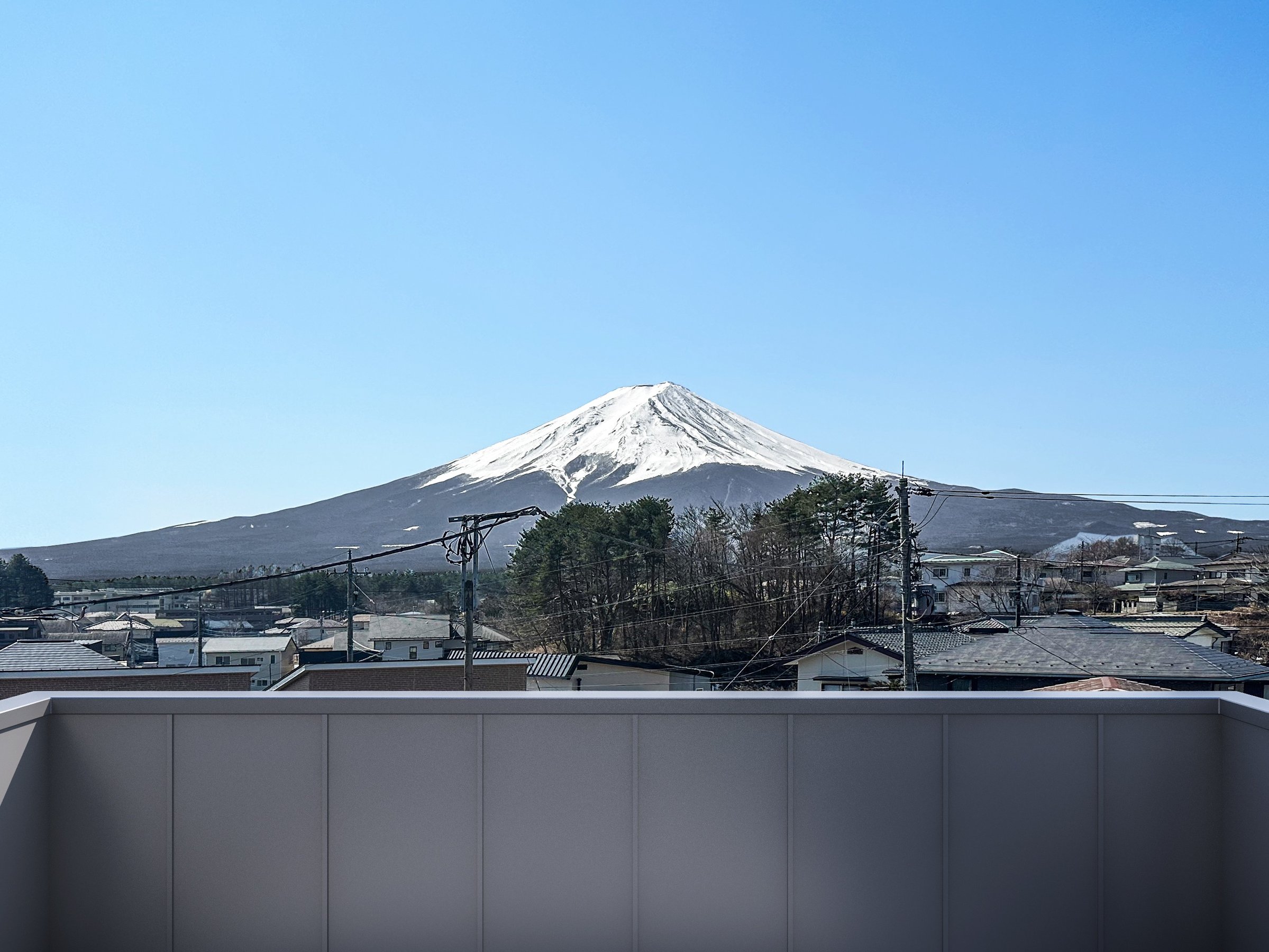 �o���R�j�[����̕x�m�R�̒��]