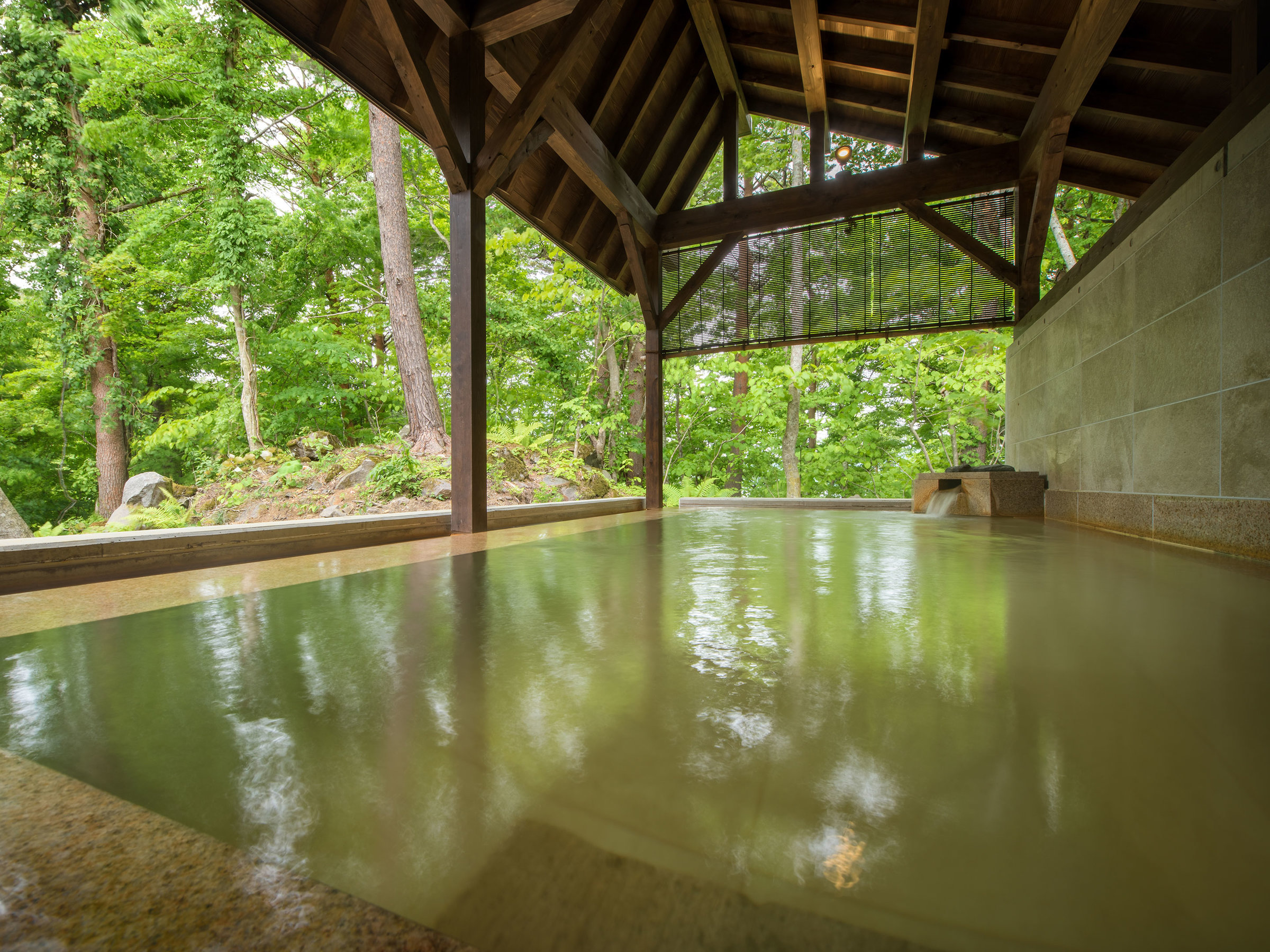 �y���̐X����z�I�V���C�́A���R�L���ȕ��i���L����܂��B ���ԂƂƂ��ɈقȂ��̐F������߂܂��B