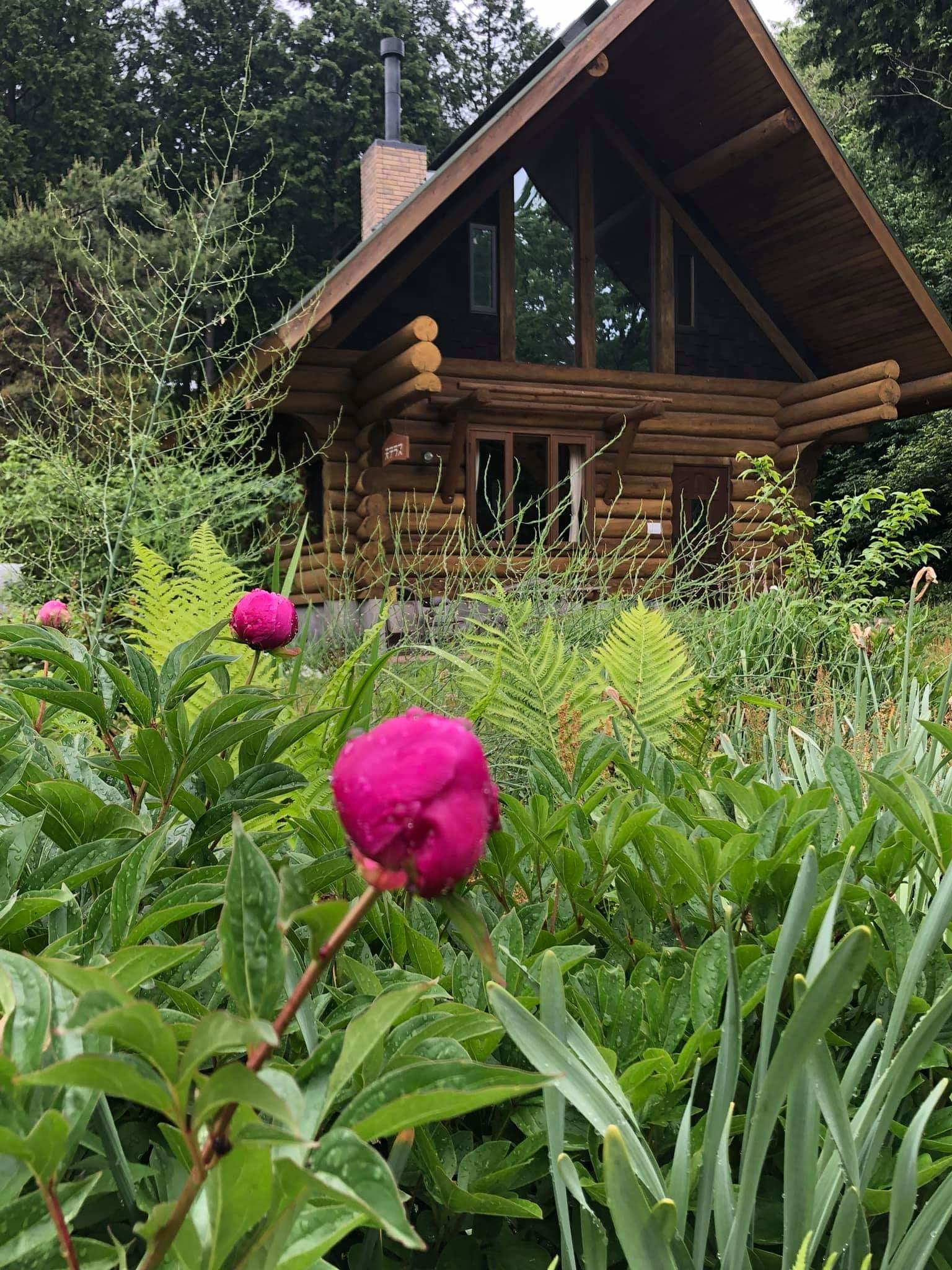 ���O�n�E�X�O�ςƒ�