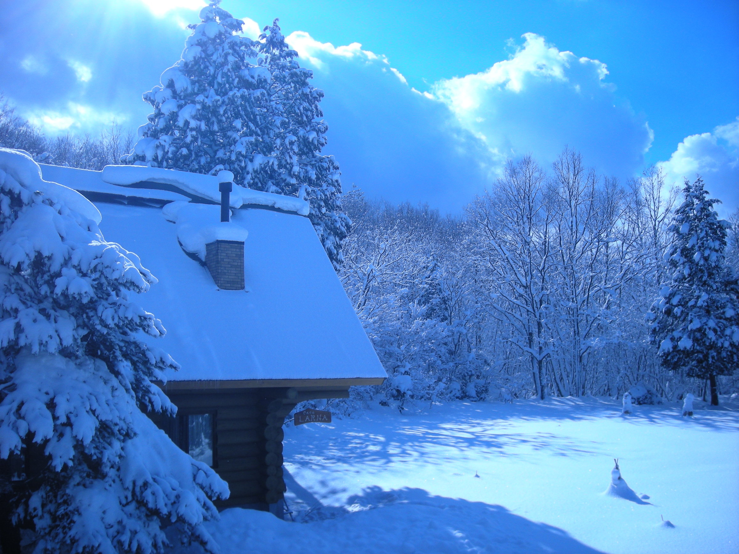 �ϐ᎞�̃��O�n�E�X�O�ςƒ�