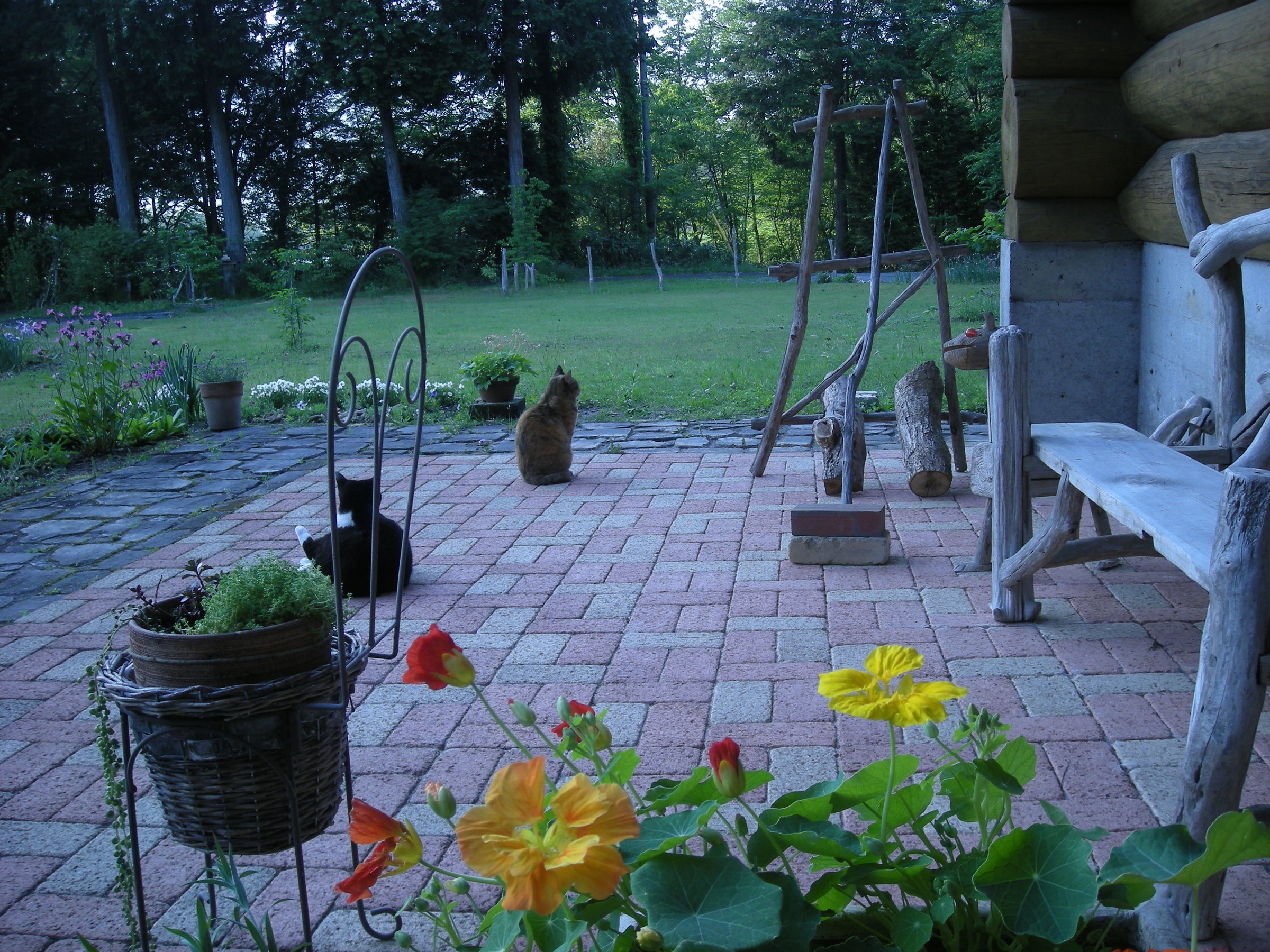 �L����̌����錺�֑O�e���X�@BBQ�≌���͂����Ł@�O�p�e�[�u���C�X�L