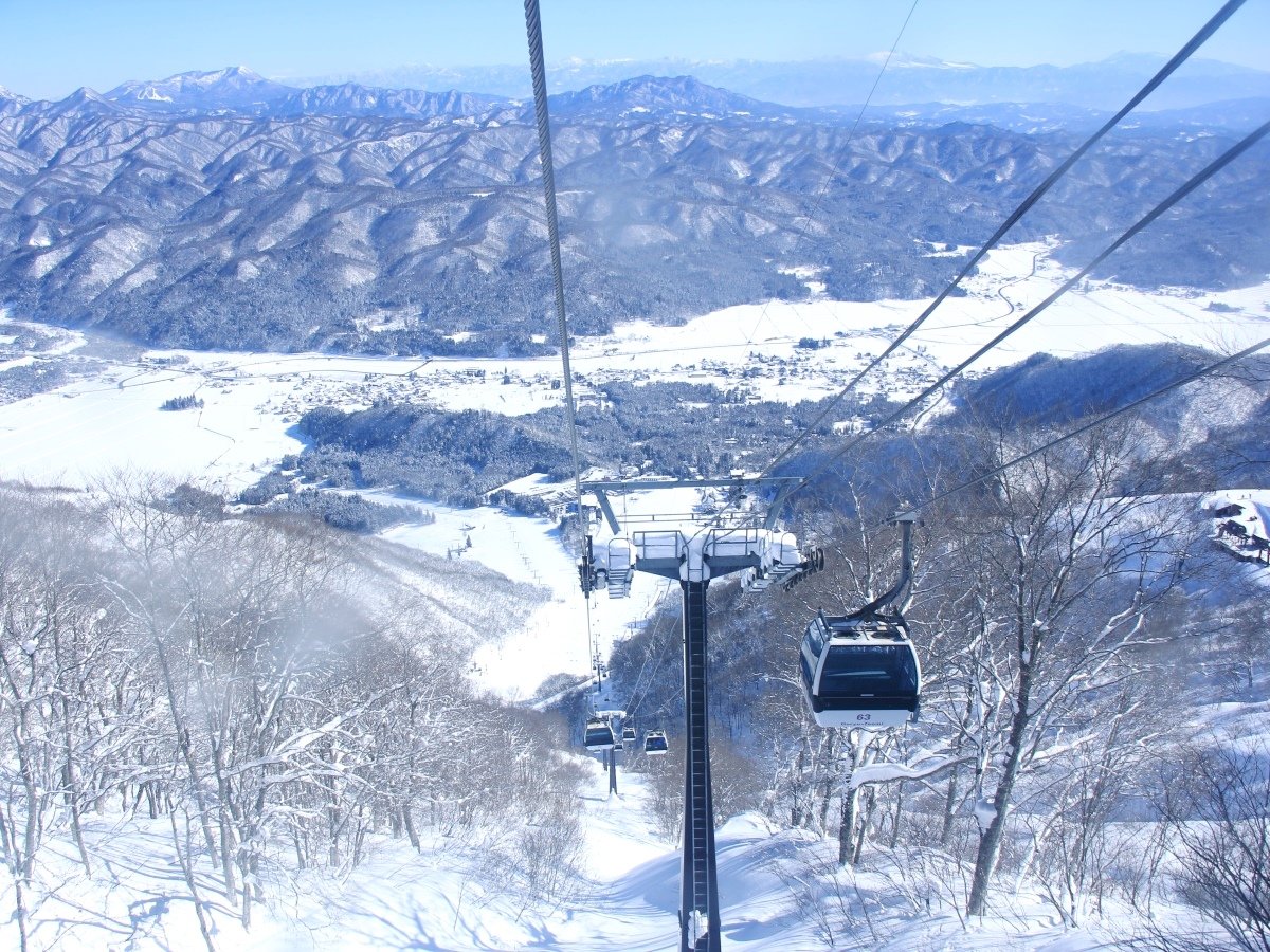 �E�B���^�[�V�[�Y���̓Q�����f�܂ő��}���܂���