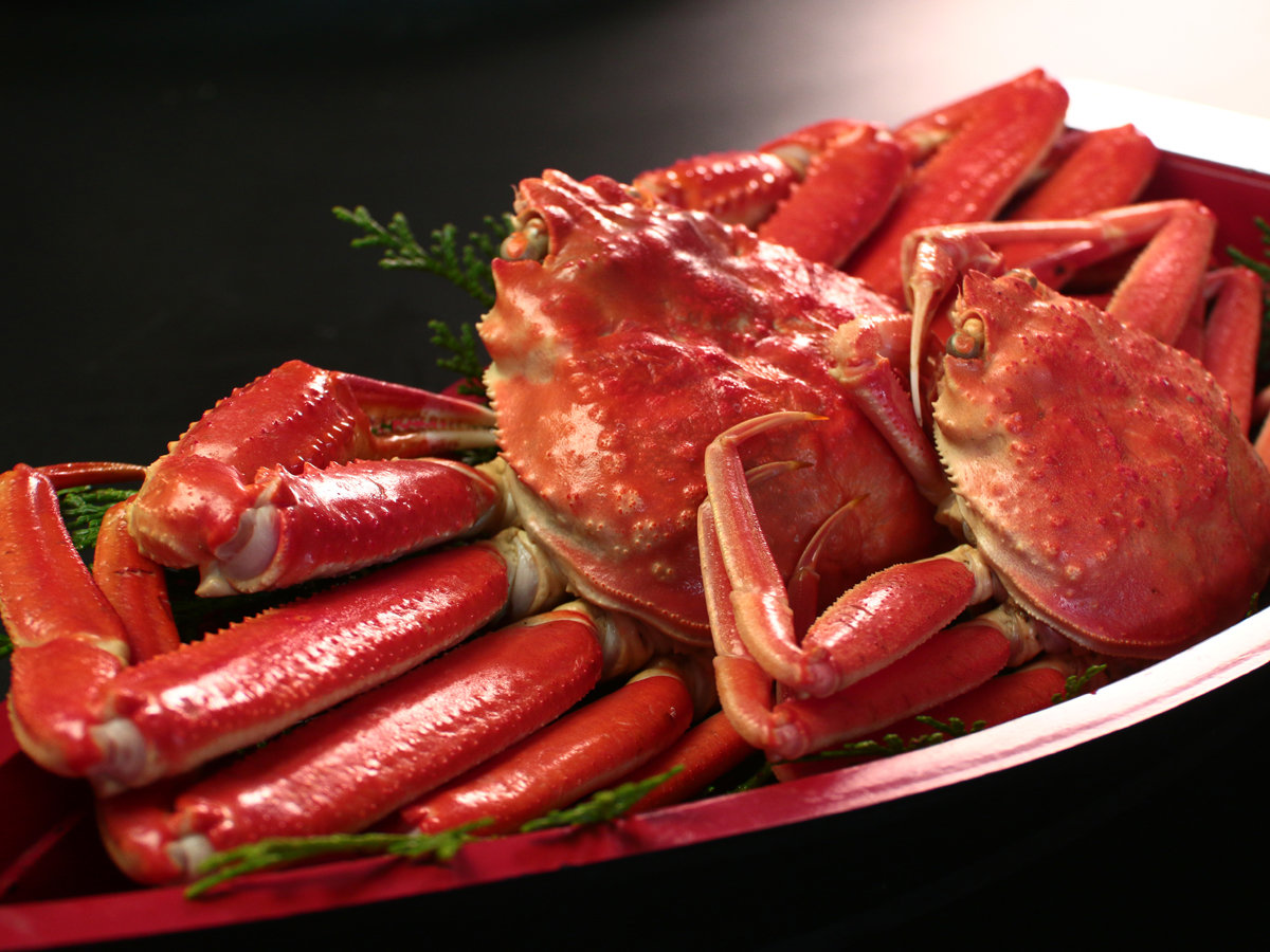 yItR[XzYJj~JjW䥂ŃKjy݂܂@