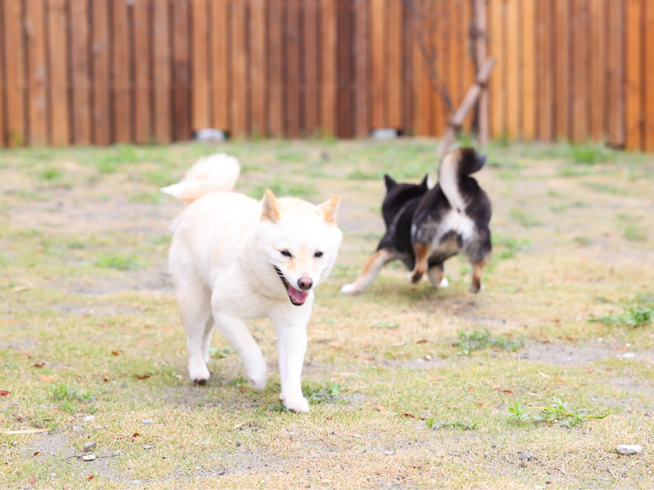 �����Ɖ߂�������