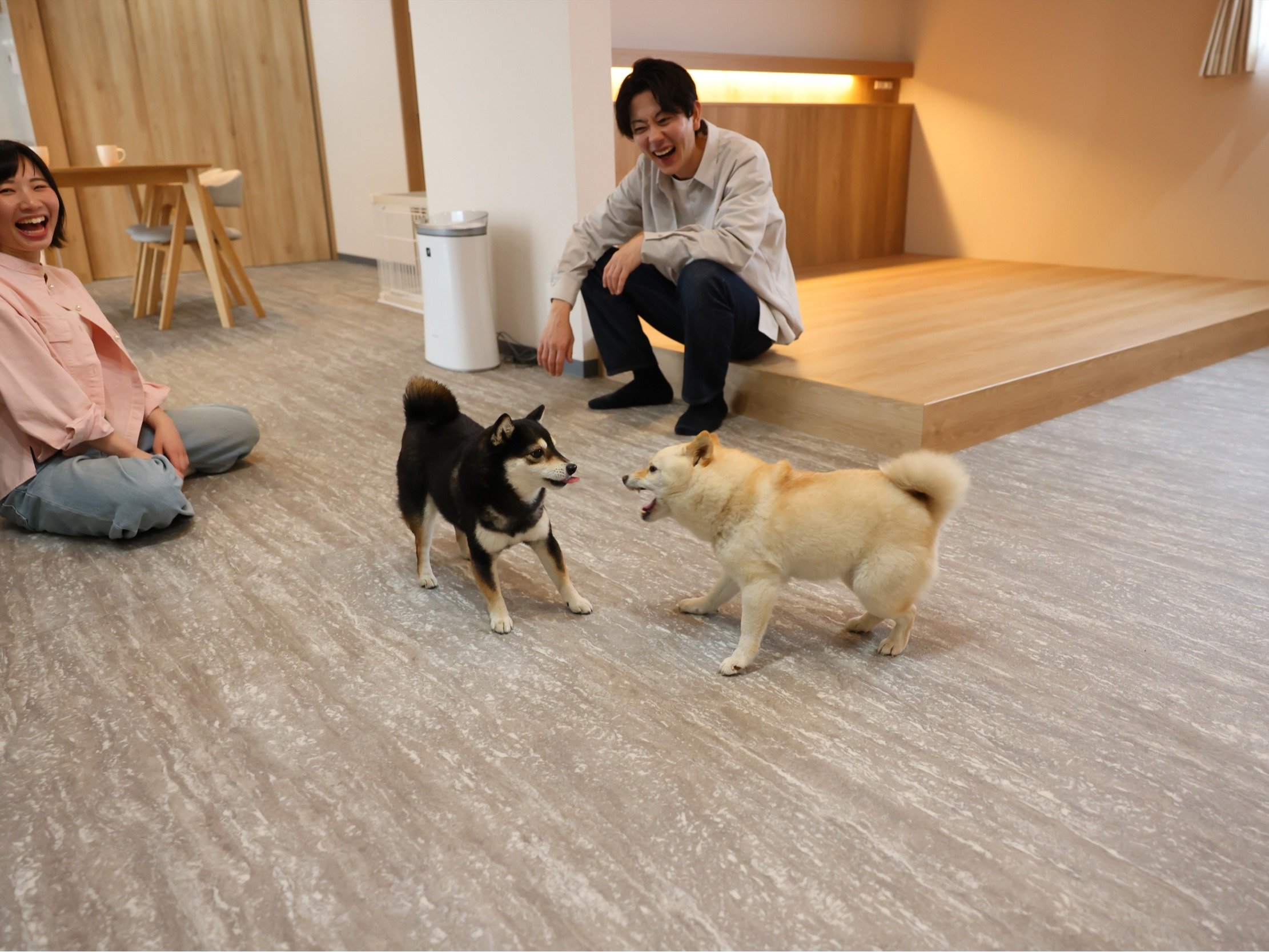 �����Ɖ߂�������