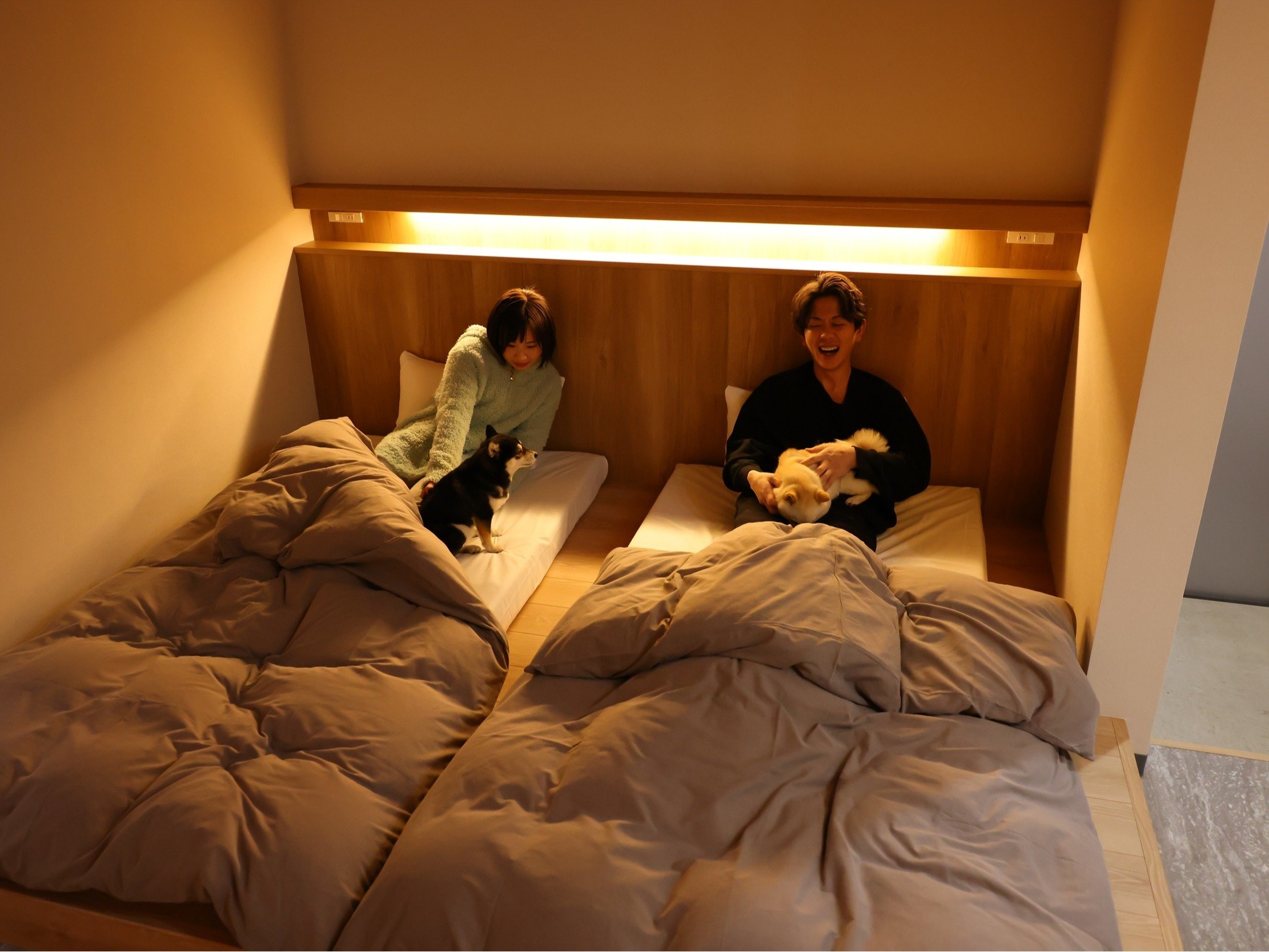 �����Ɖ߂�������