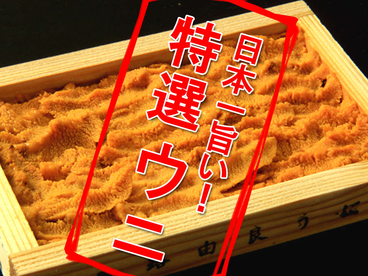 �R�Ǎ`�̓��I�E�j�I