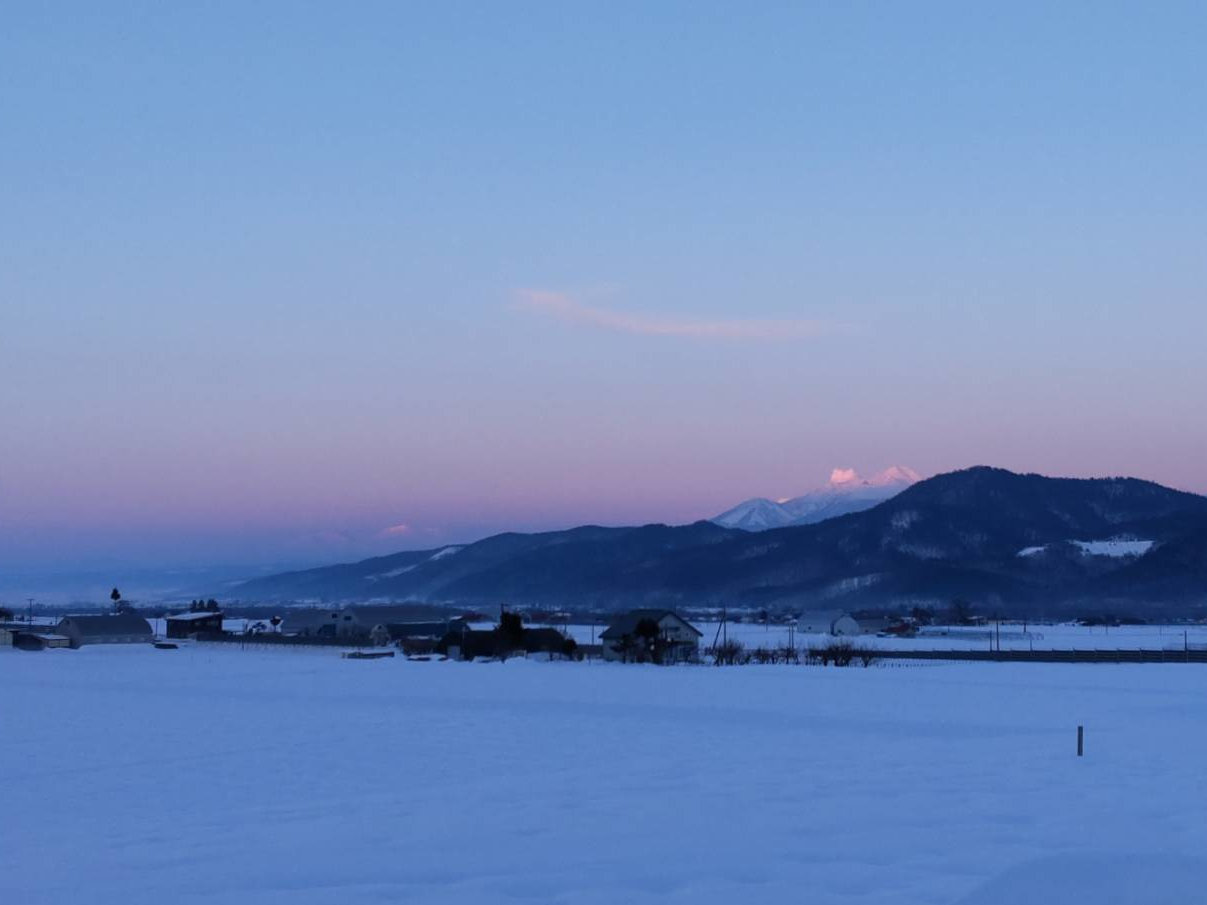 �~�n������]�ޑ��R�B�L���~�n�Ő�V�т������Ɋy���߂܂�