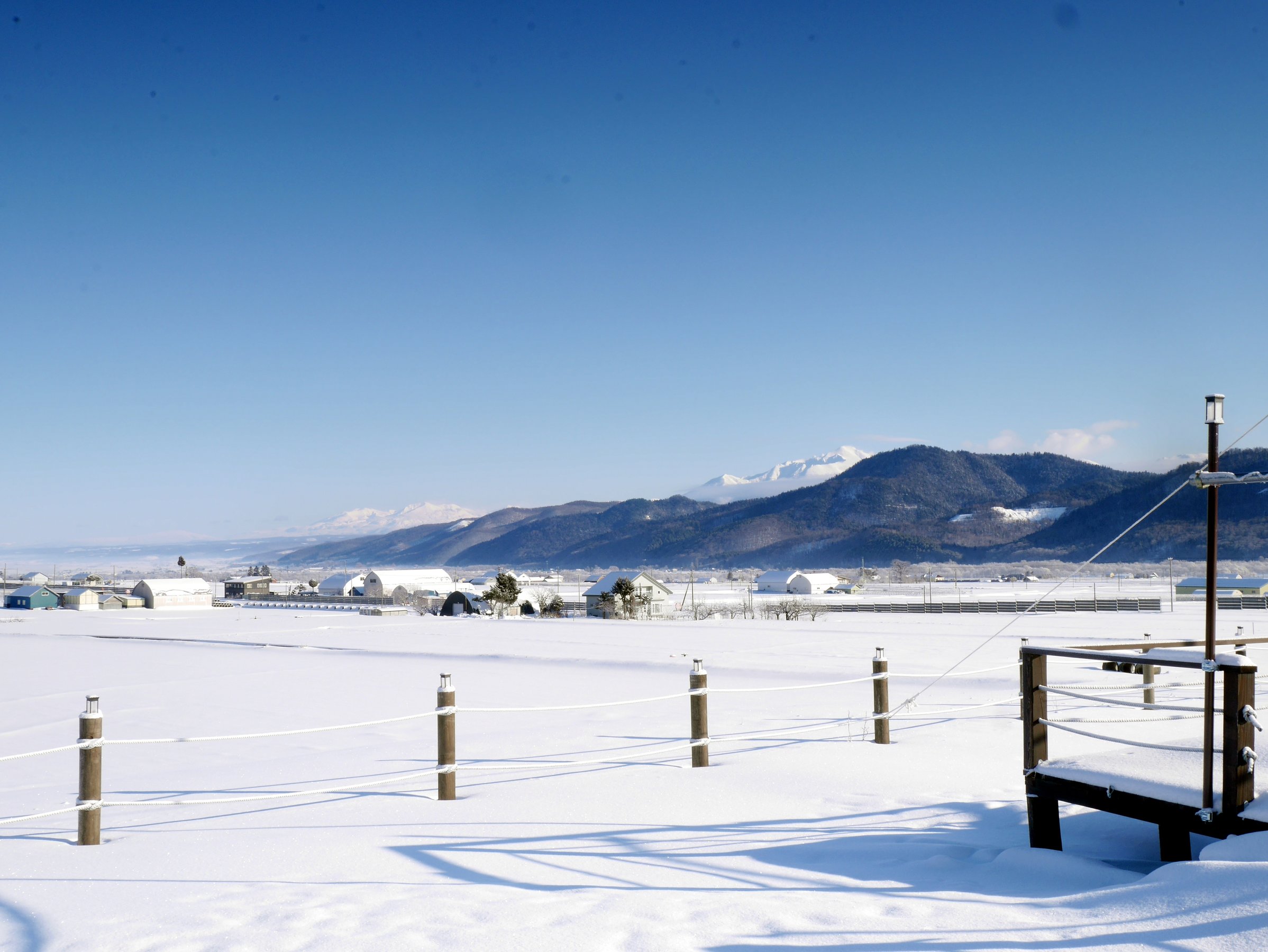 �������猩����i�F�[�\���x�E�~