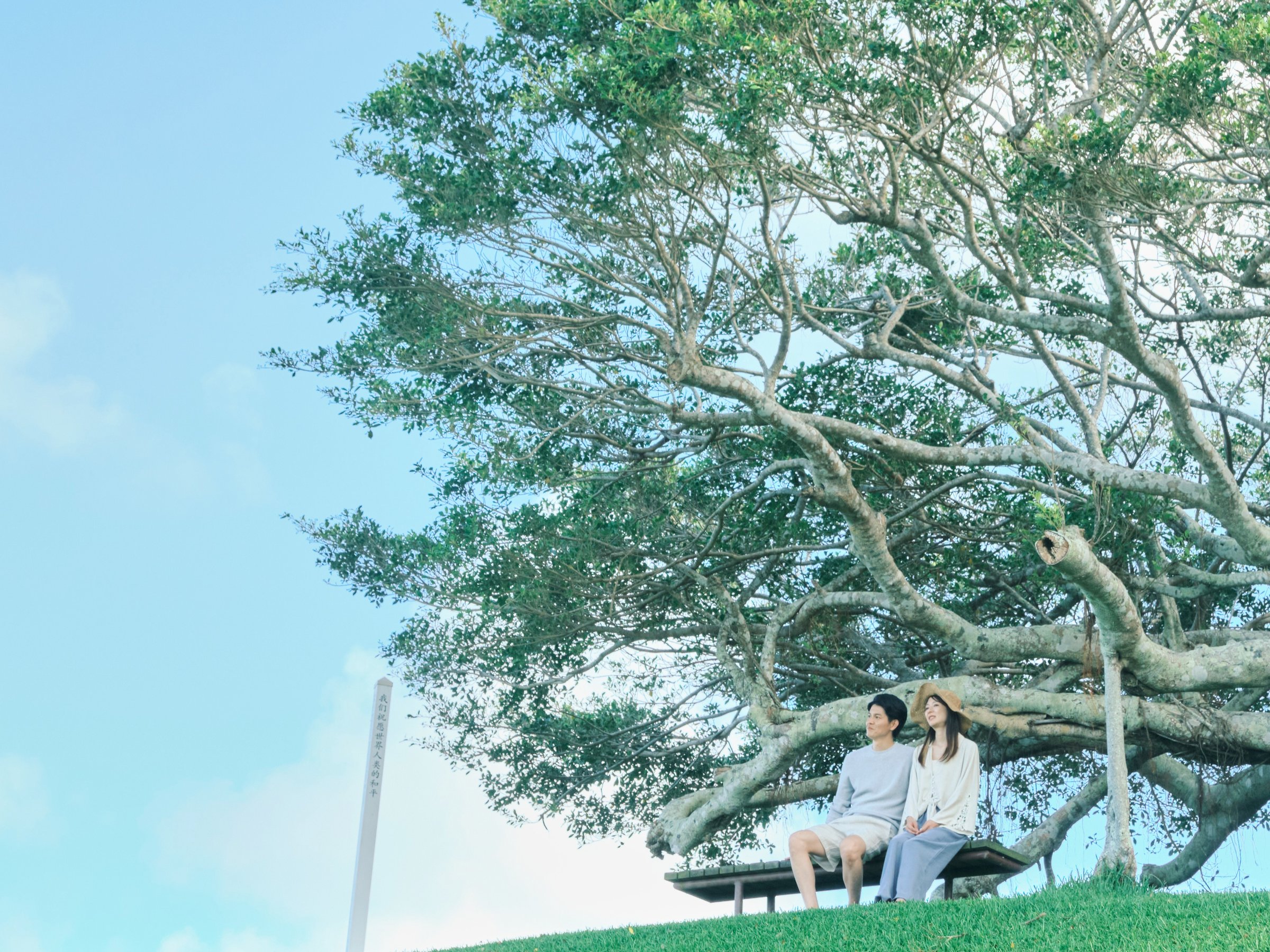 �I�X�Ɨ���鉫�ꎞ�ԁB �΂̕��Ɏ����X�� �S�Ƒ̂Ɋ��Y�� �V�������̃J�^�`���B 