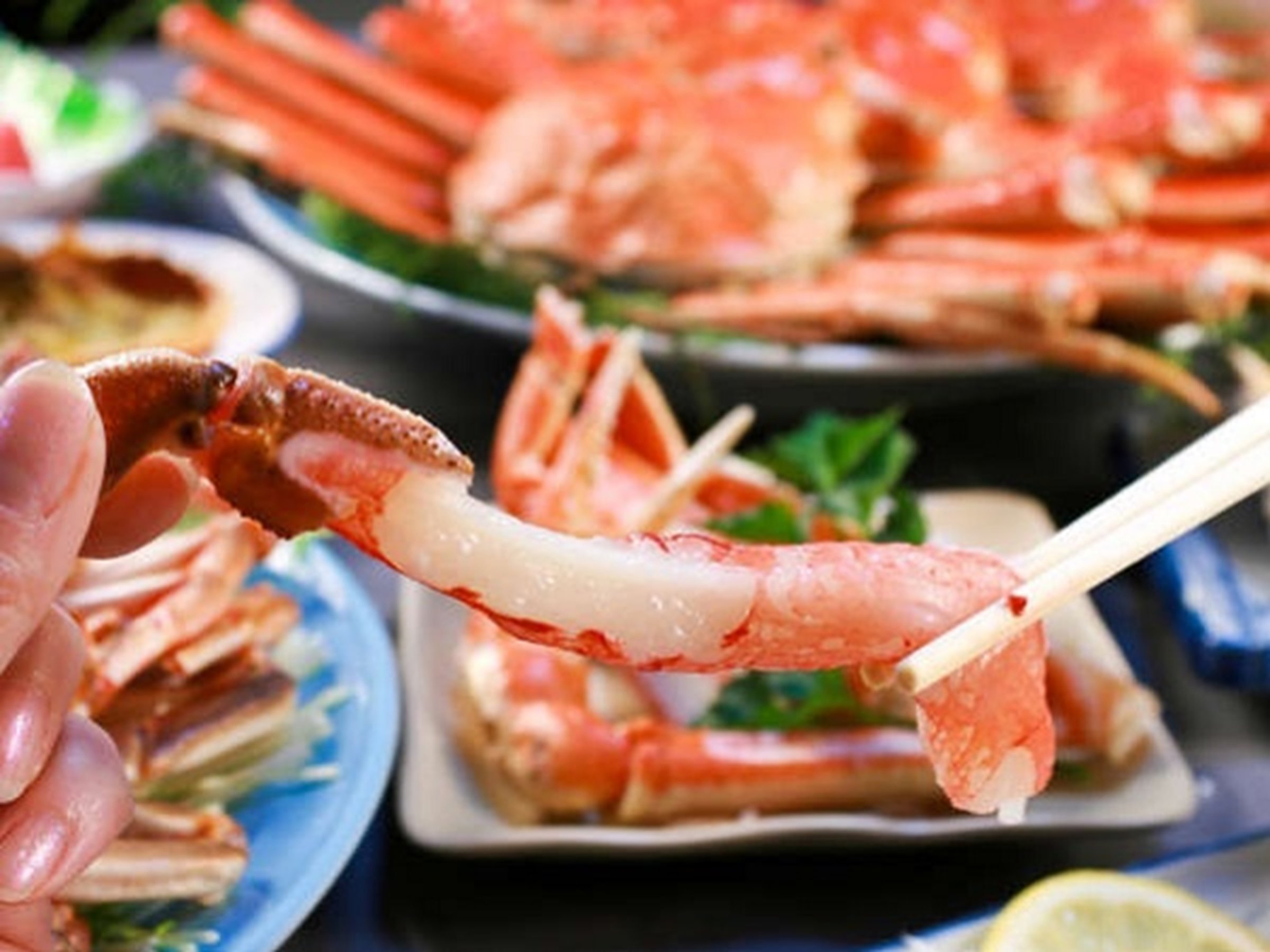 �s�I�O���R�[�X�t�q�I�~�I�r�J�j�D���W�܂�I�I�������I�V�n�����I�b���Ă��@�ґ�I���