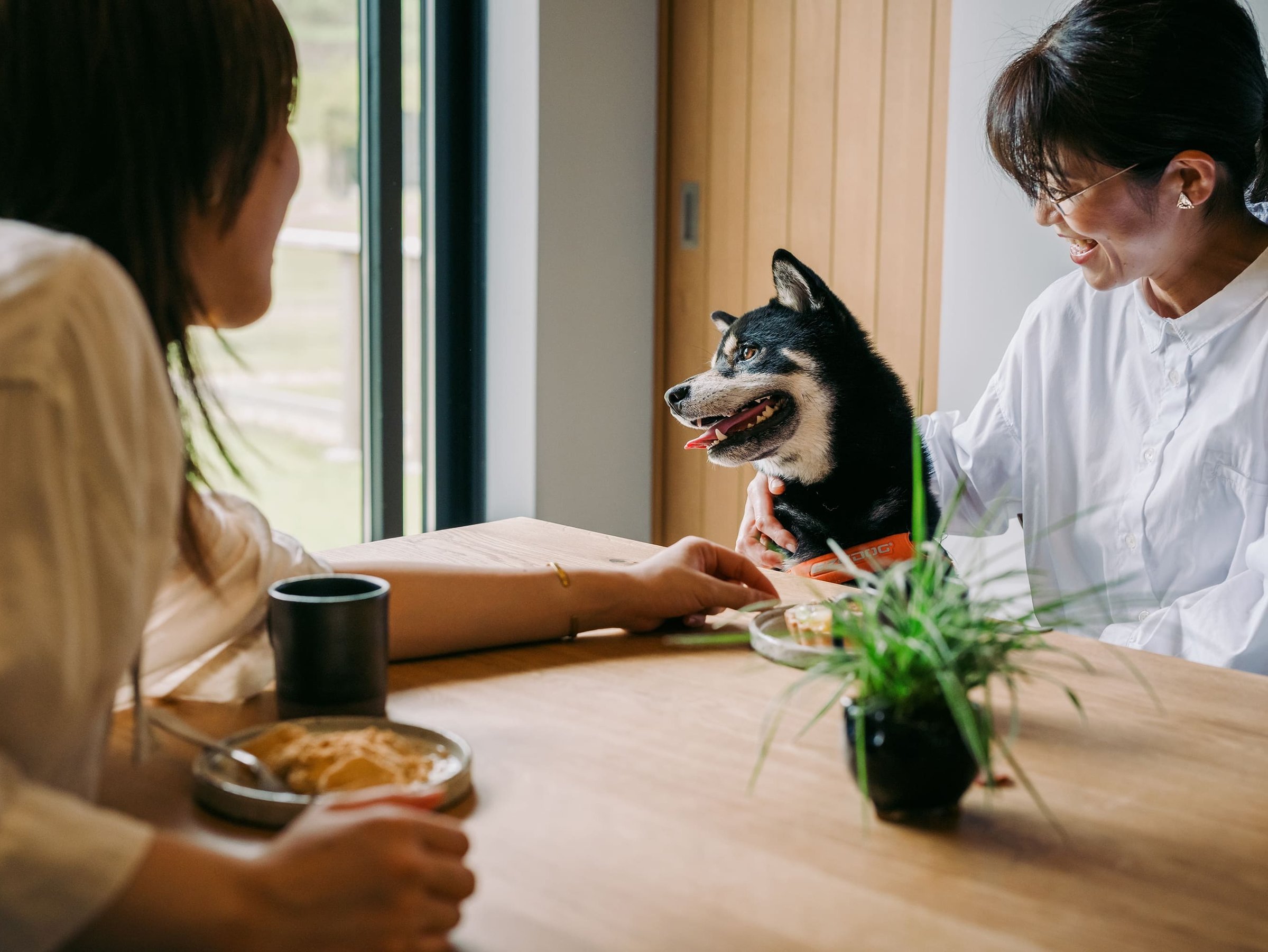 �����ƂƂ���