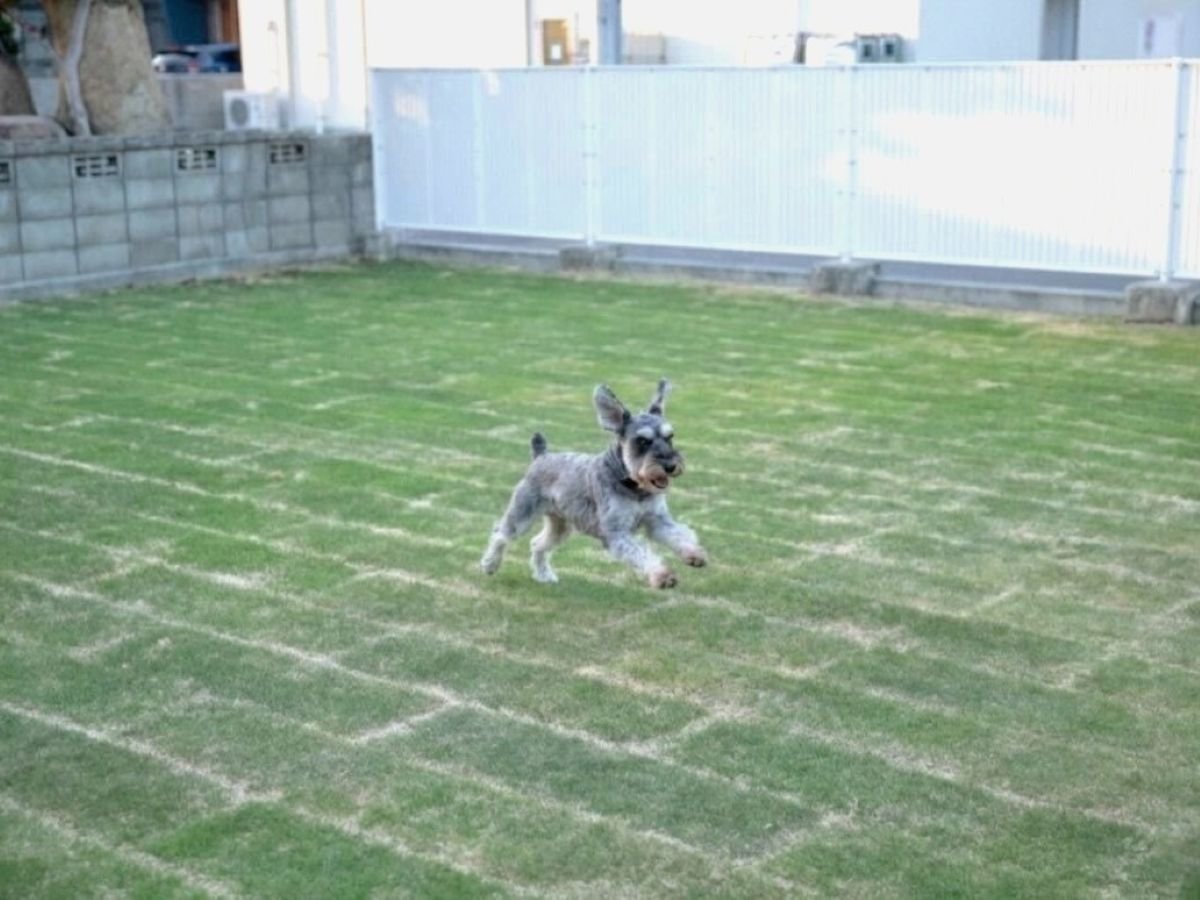 �h�b�N�������ł���L�X�Ƃ����Ő��t������