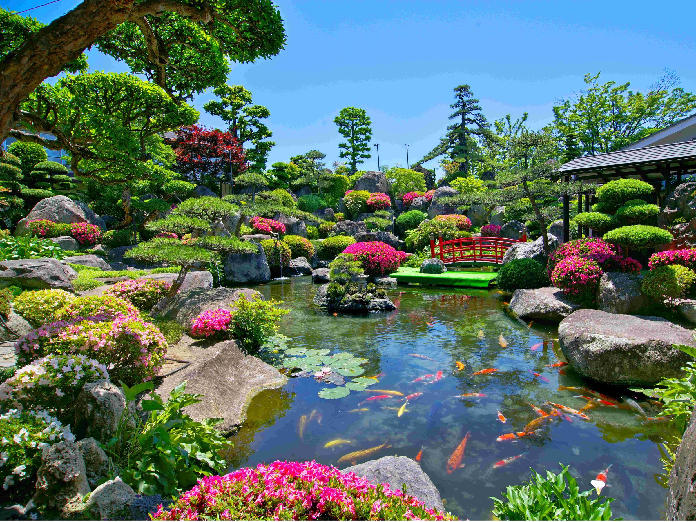 �t�̂����炭�@���C���뉀