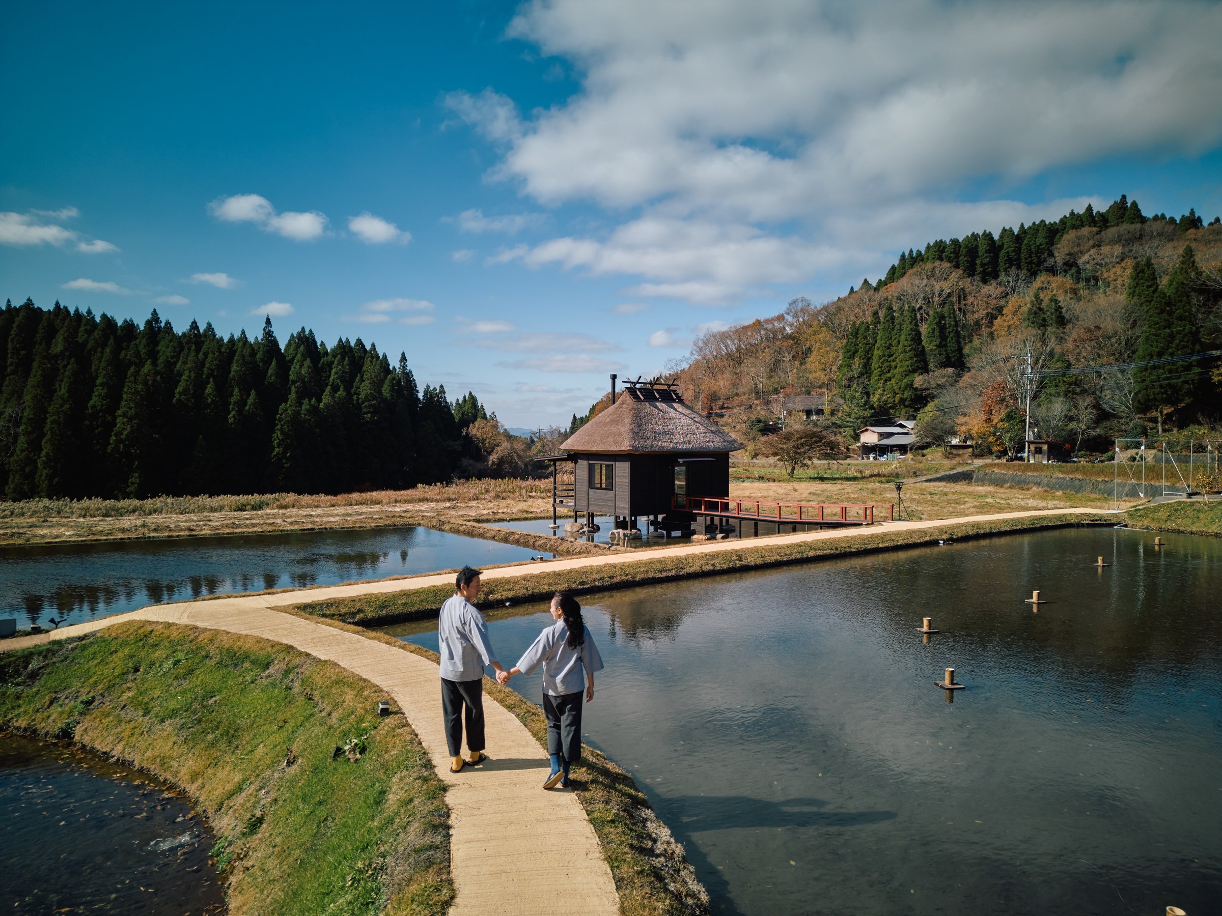 �c��ڔȂ̂��U��