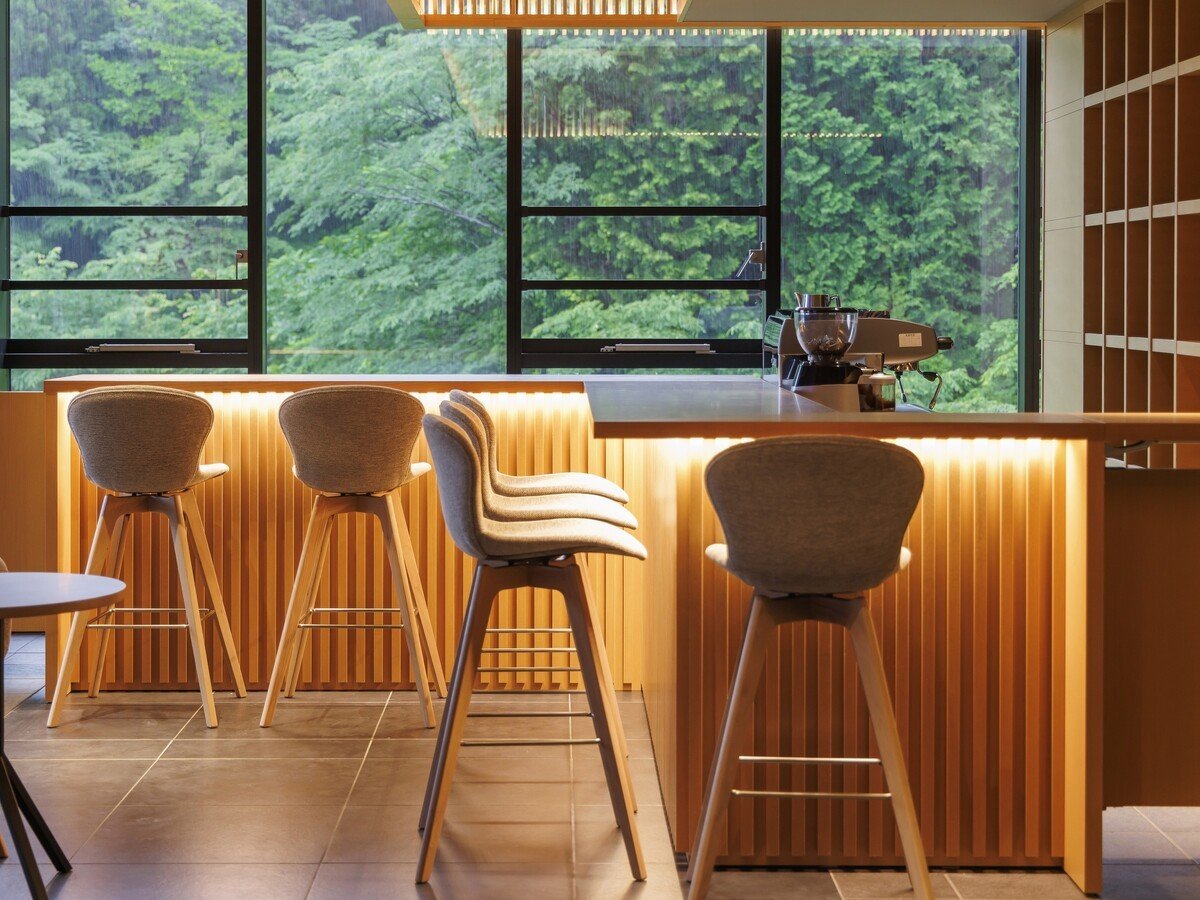 �y���r�[�z2024�N6���Ƀ��r�[���������܂���