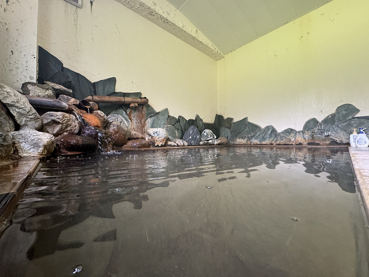 �������24���ԓ����V�R����͎�A���J�����̉���Ȃ̂ŃX�x�X�x�̔������ʂ�����܂��B