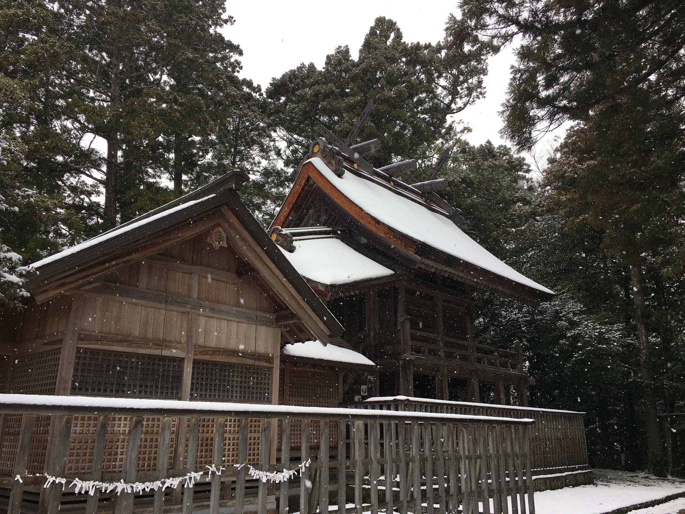 �ቻ�ς̐{���_��