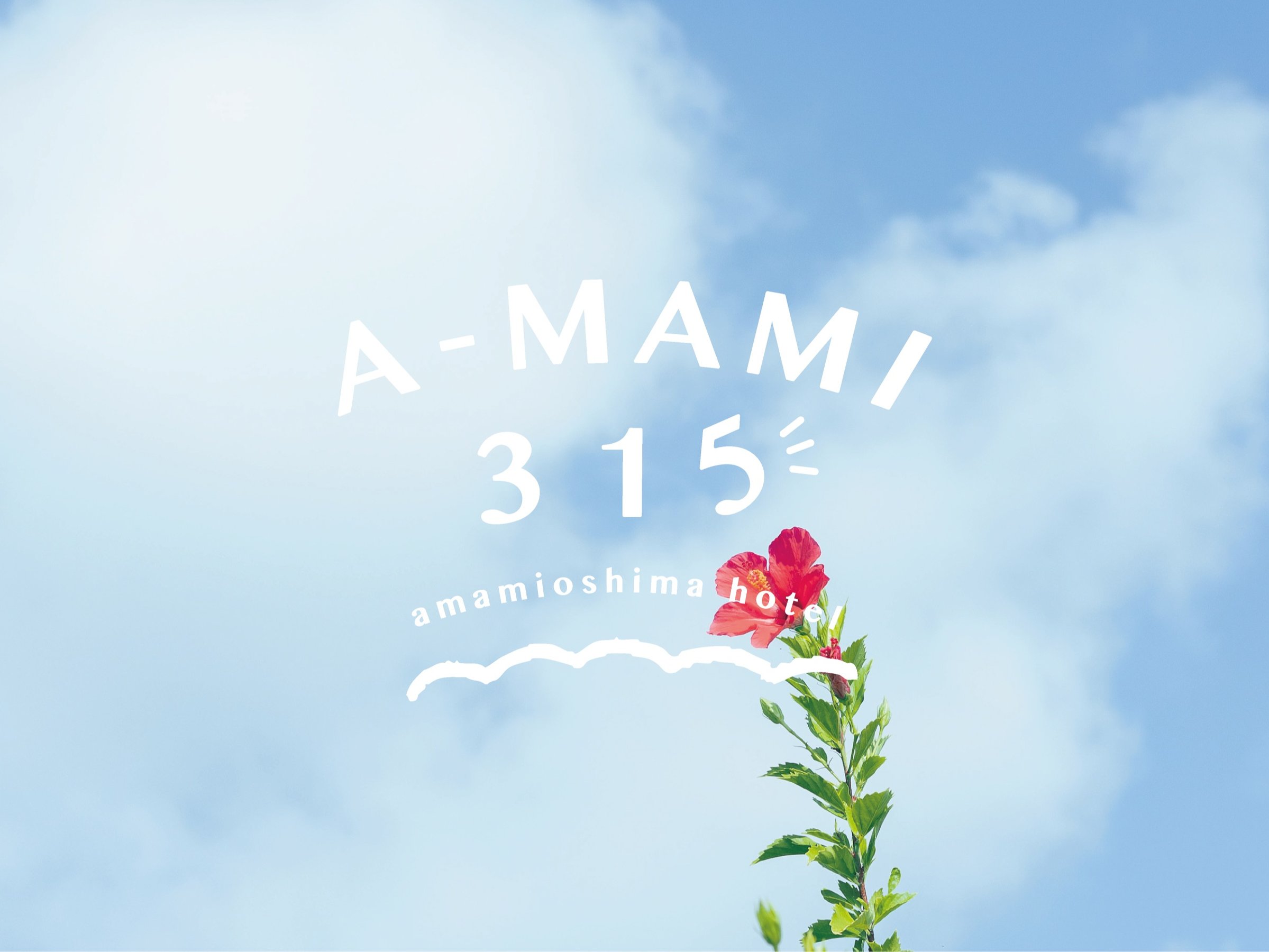 A-MAMI 315���S