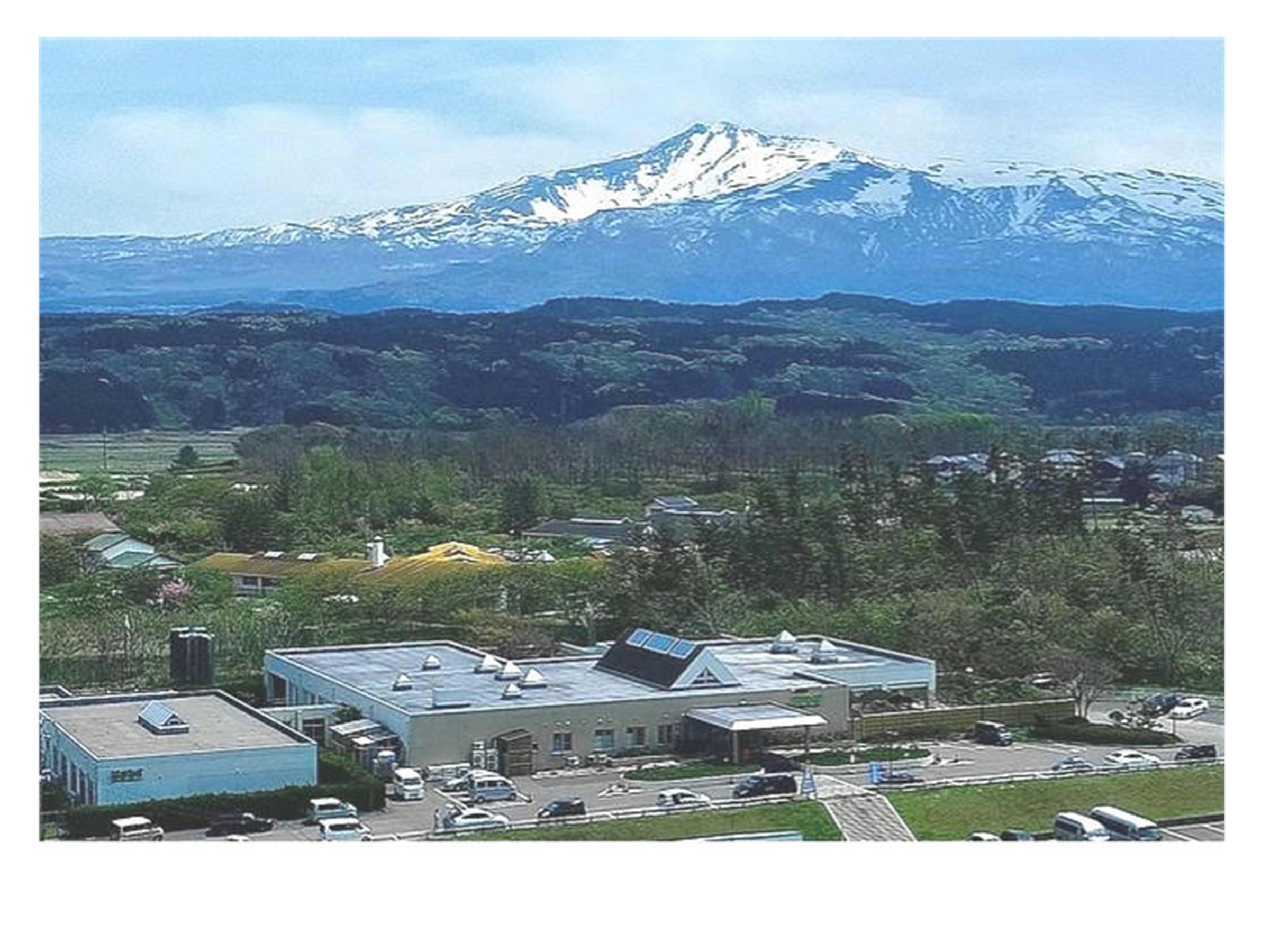 ���C�R��w�i�ɏ�󂩂璭�߂��͂܂Ȃ�