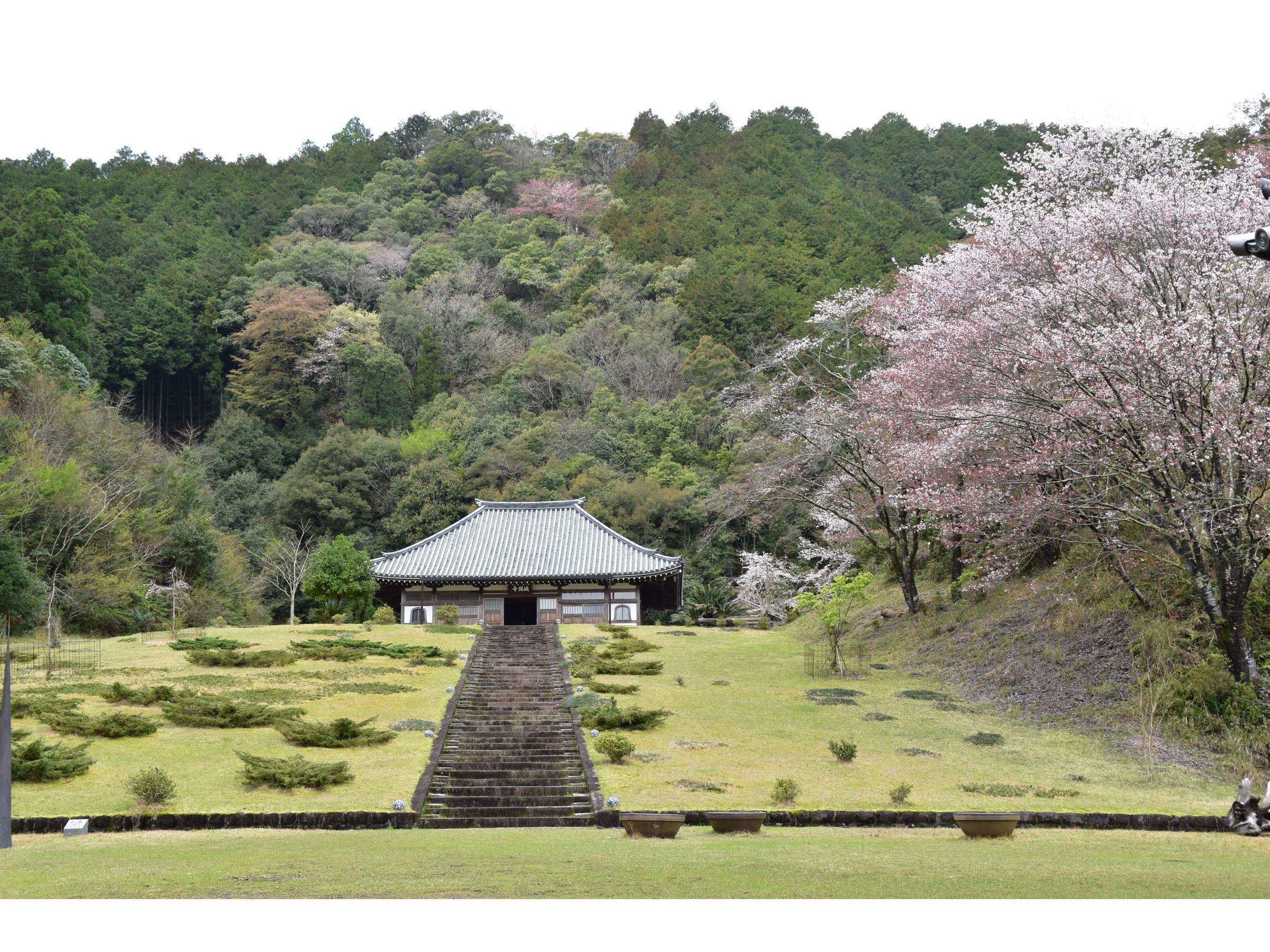 �閞���A�l���ŌÂ̑T�����T�̌�������܂��B�ӂ�����񂩂�5�q