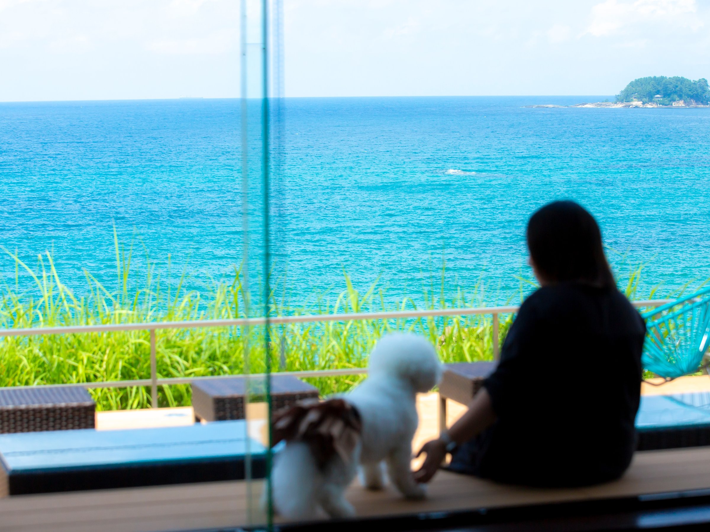 �y�e���X�z�e���X����́A�����ƈꏏ�ɓ��{�C�̐�i��]�ށB