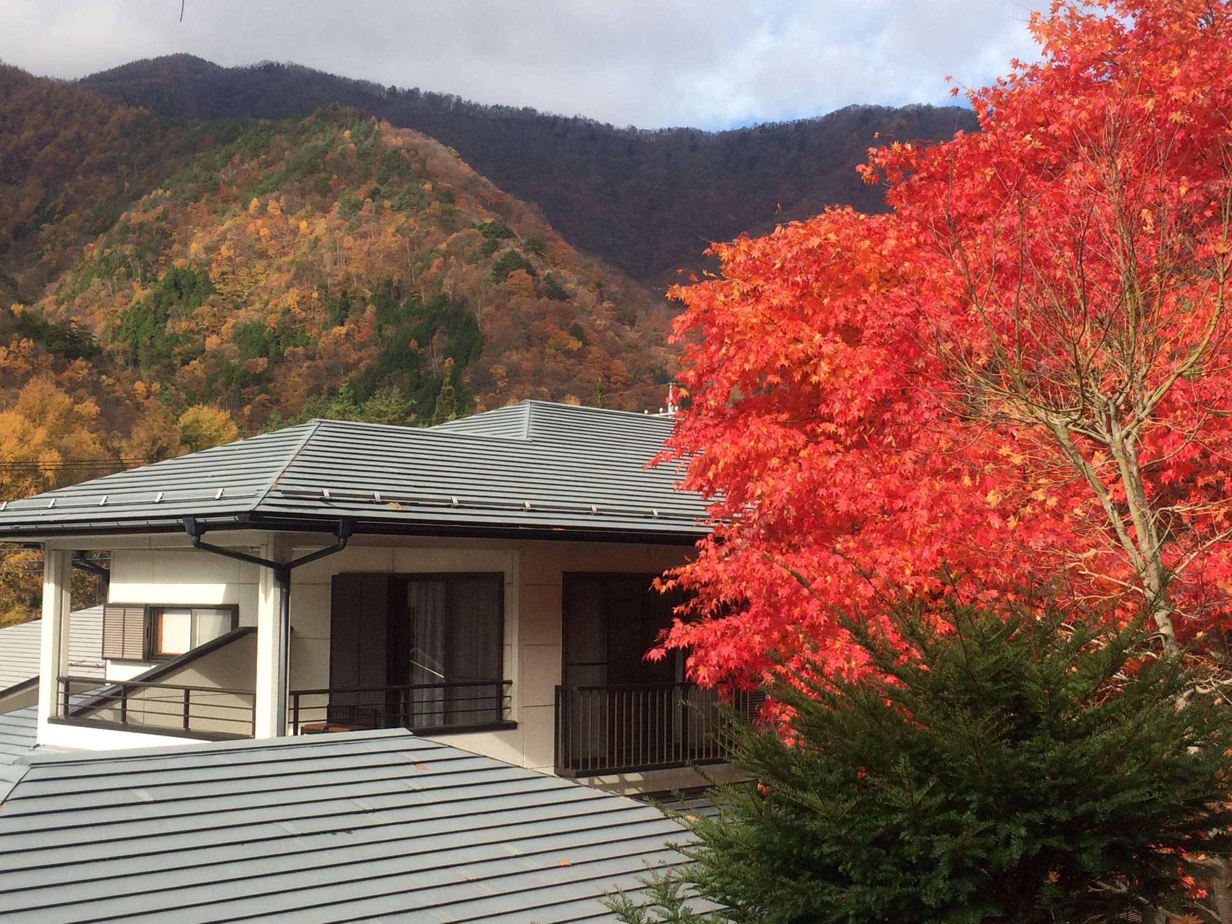 宿の周りの紅葉