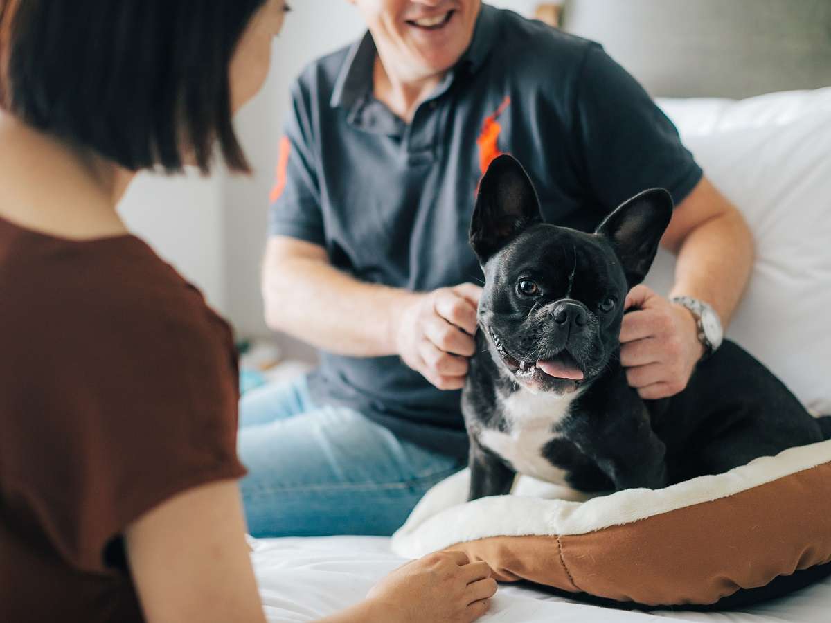 ƈꏏɉ߂܂񂩁H@@@`Dog Lovers v`