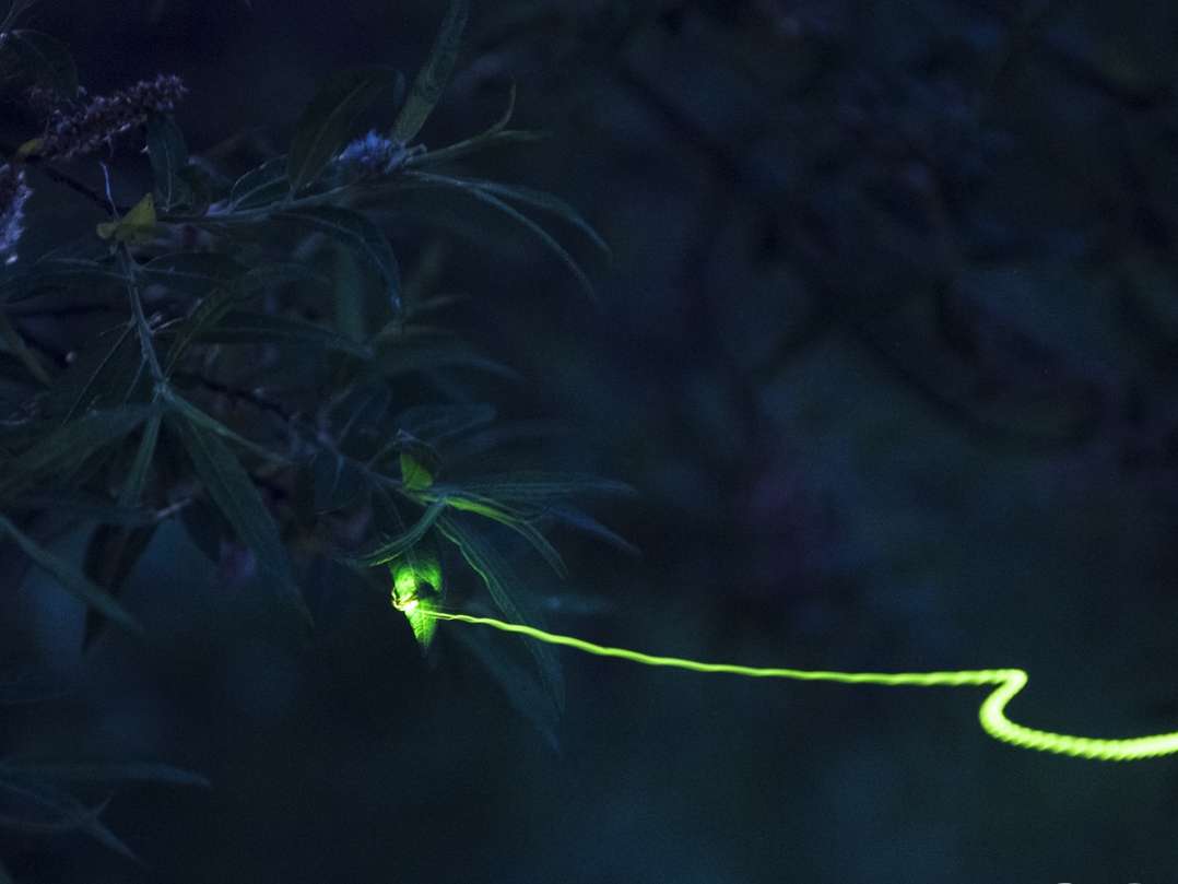 *y{ݎӁzĂ͍̓VRLOɎw肳ꂽz^كeXϏ܉\