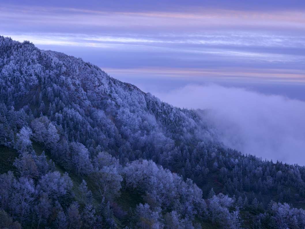 *y/RzG߂킸y߂RłB{̃Gx[^[LłI