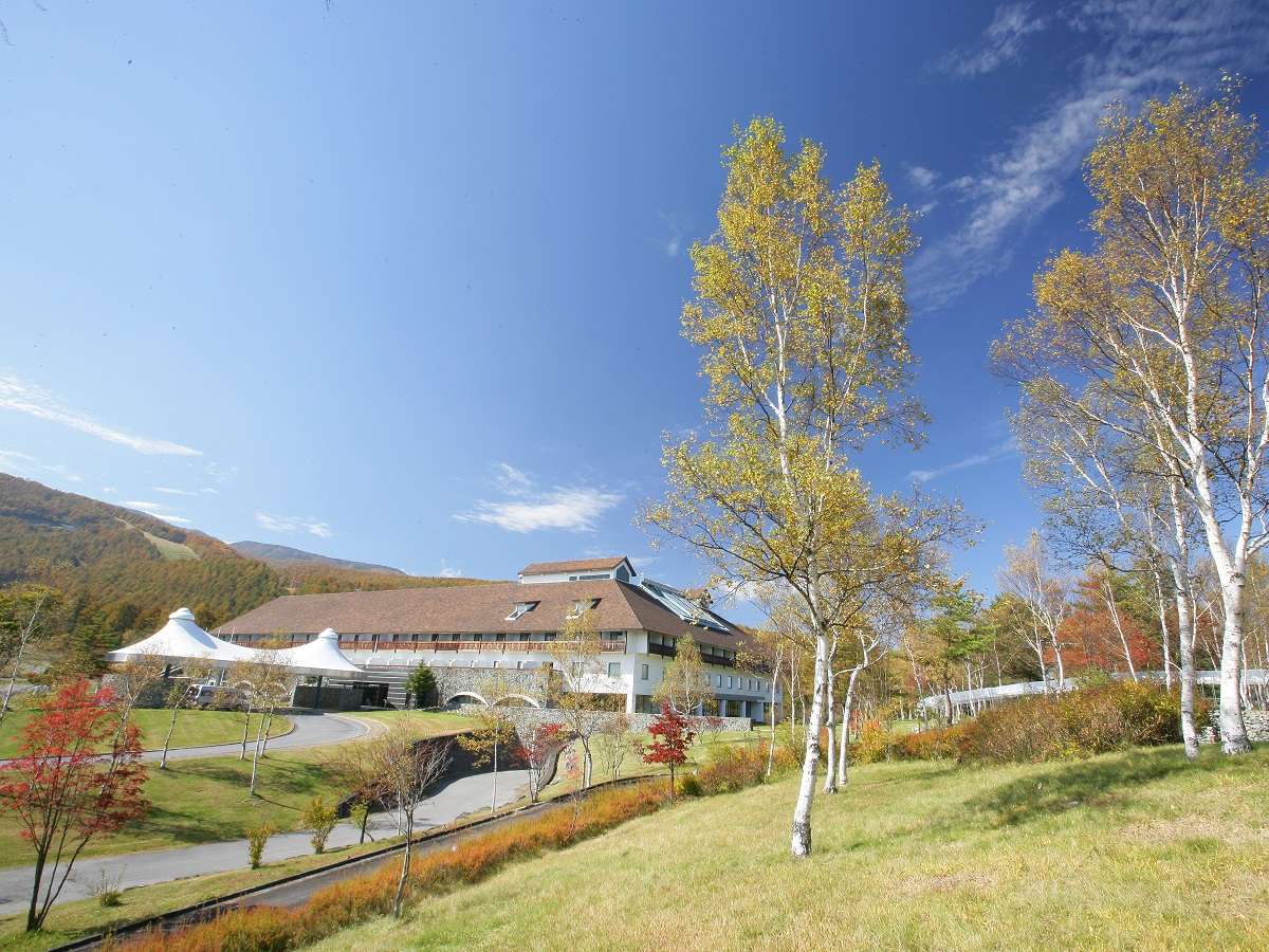 �����R�Ɉ͂܂ꂽ�V���g���[�[ �K�g�[�L���O�_�����C