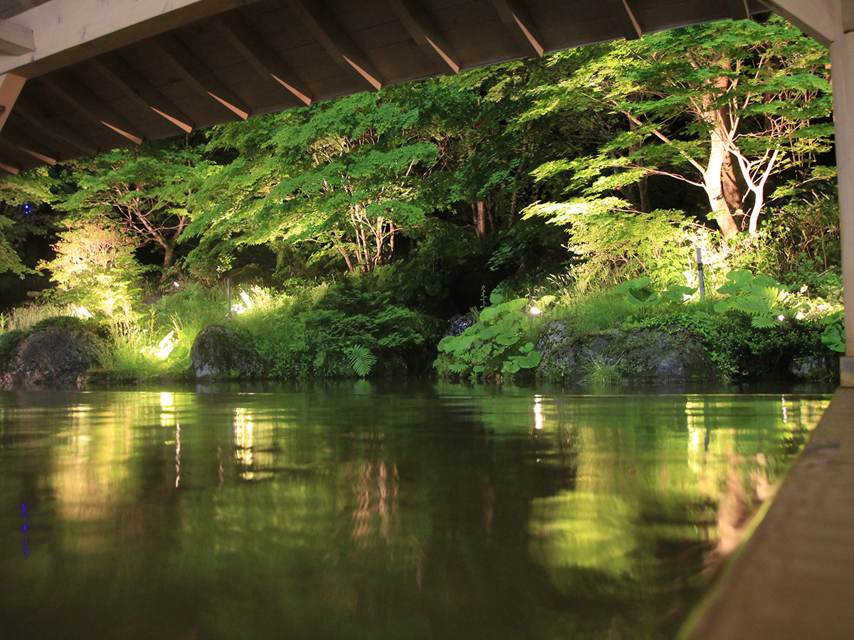 �y���΍��q����i�āj�z��̃��C�g�A�b�v�B