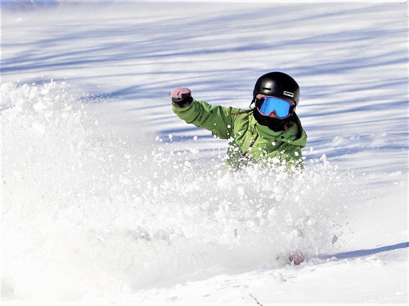 y΃XL[zn`oN⃍[Ȃǂ̃AgNVACe𑵂܂B