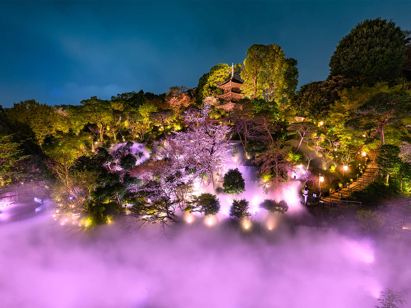 �����_�C