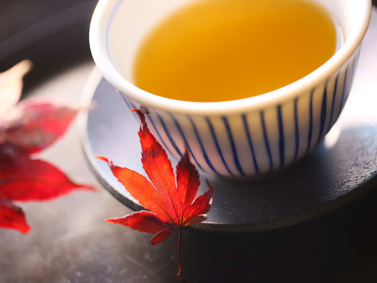 �摜������