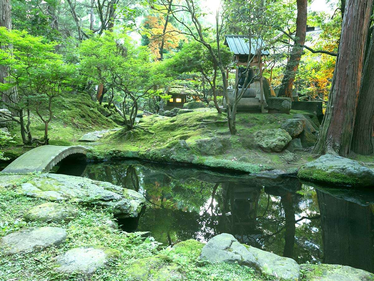 �ۂ����������x���B�䂩��̓��{�뉀�B���o�^�L�O���i�����n�֌W�j�ɓo�^���ꂽ���{�뉀�B