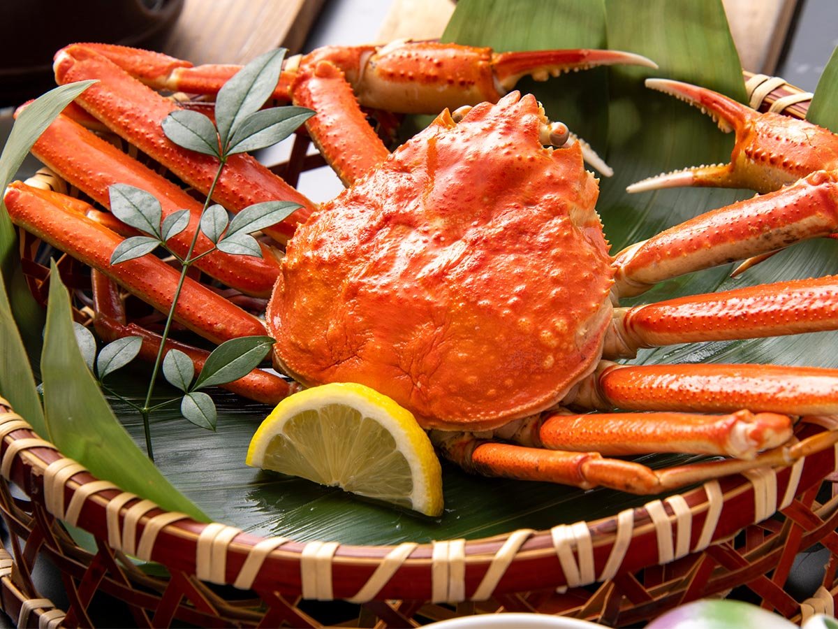 �s�Y���C�I�P�t�t�t���X�Ɩʕt���P�t�̎p�I���������オ�肢�������܂��B���������C���[�W